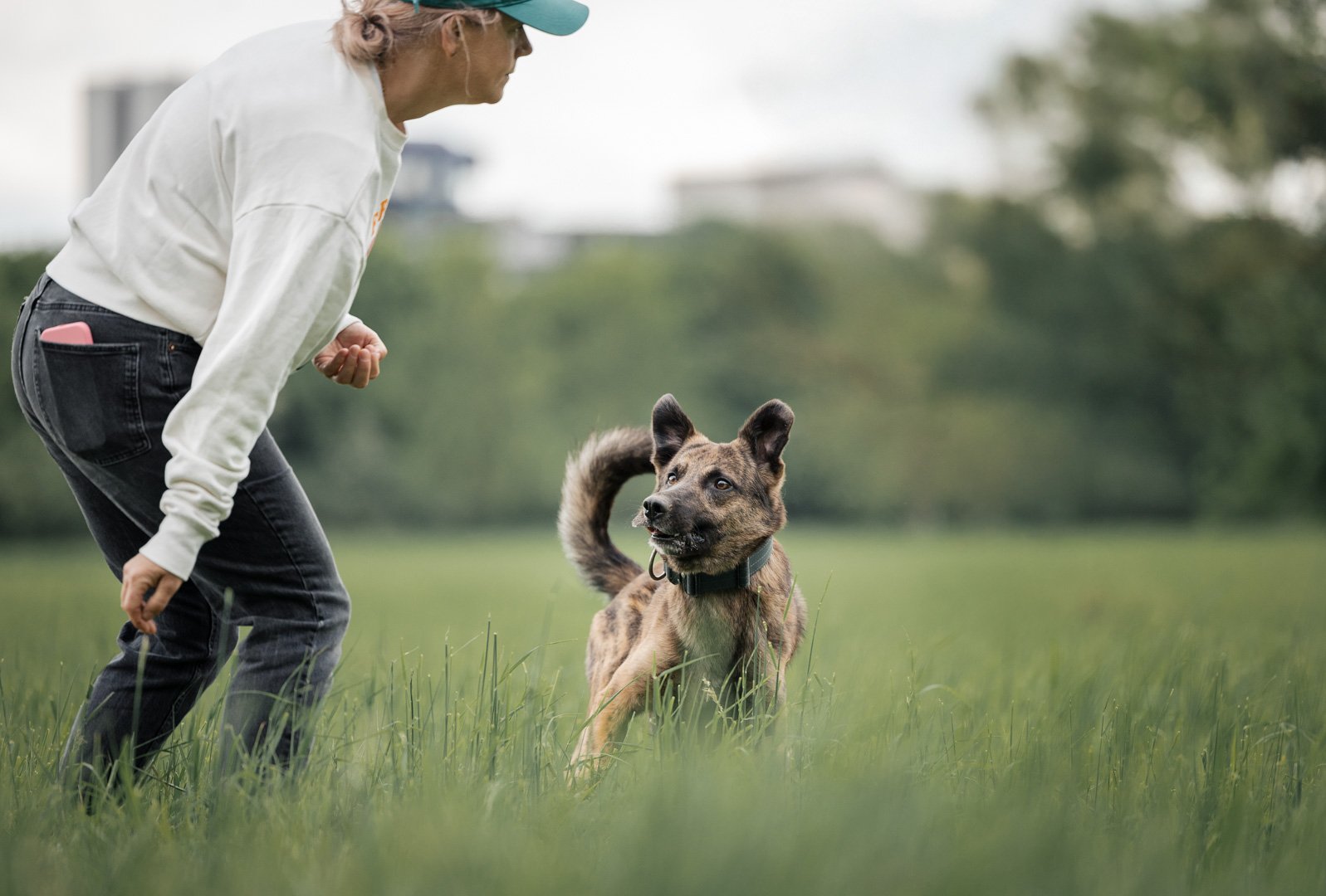 Frau mit Hund im Park, Hund sitzt im Gras, Frau legt sich in die Haltung der Spielaufforderung, Hund schaut aufmerksam.