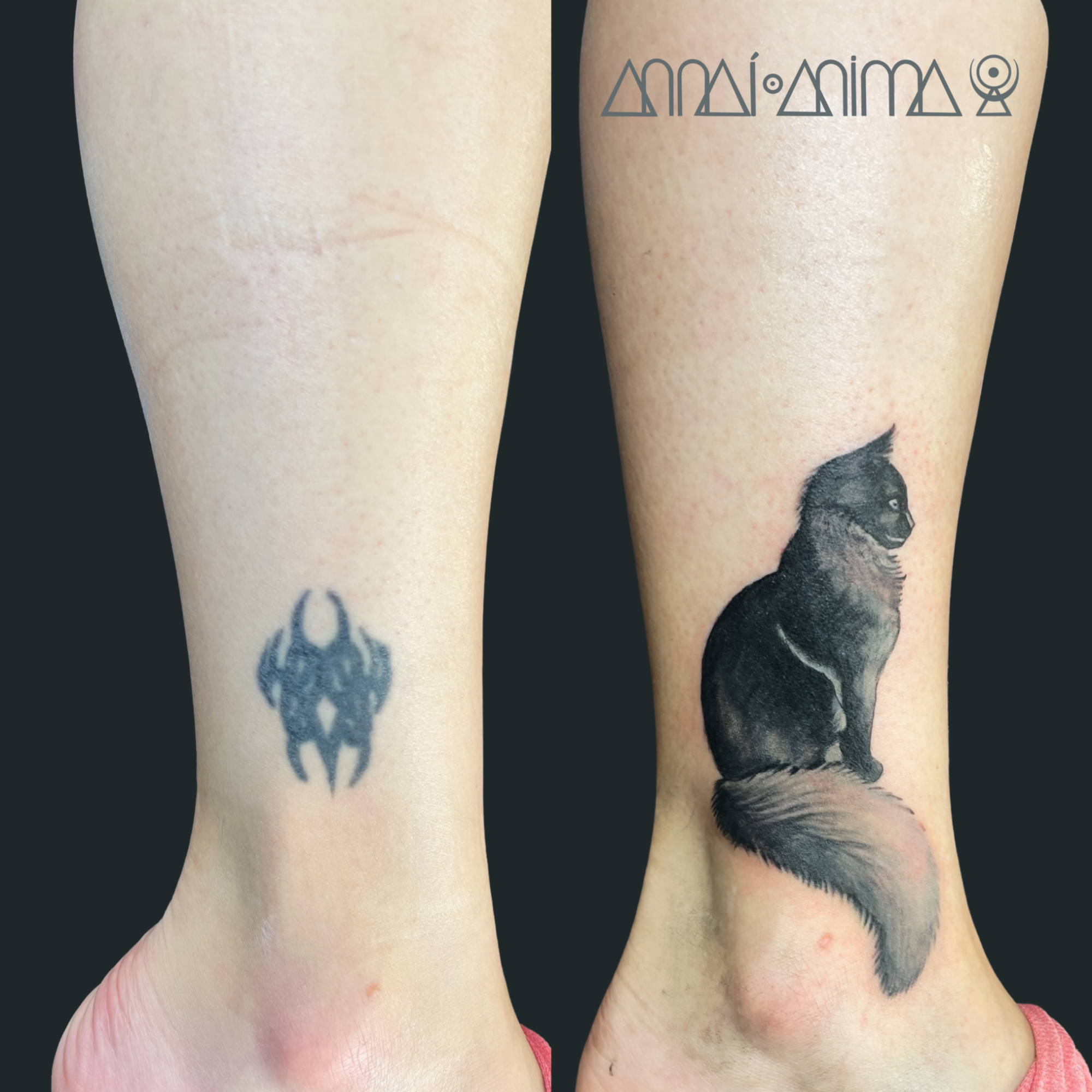 Tattoo of a black wolf sitting on a person's calf, with a smaller, blurred tattoo of a sci-fi emblem on the same leg.