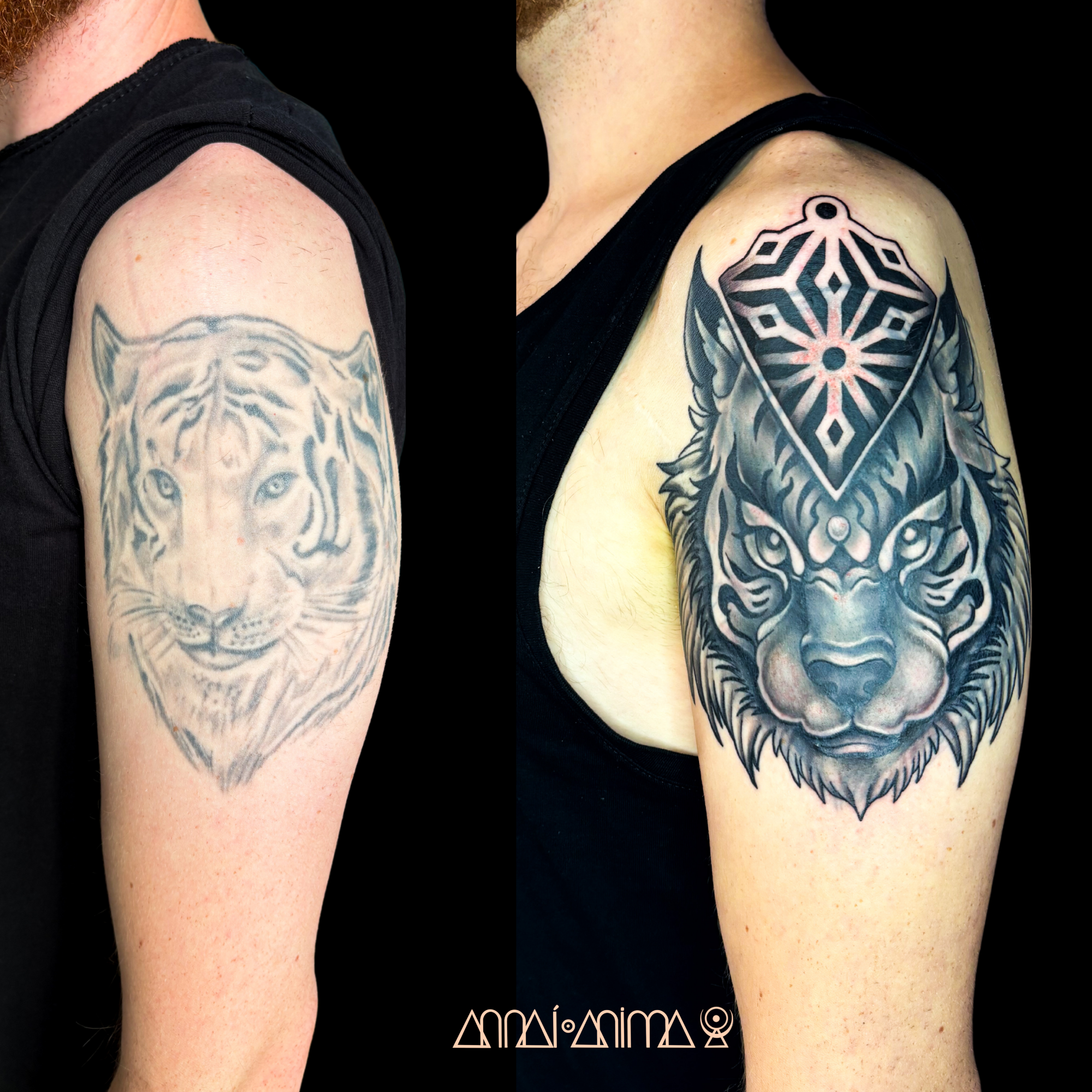 Comparison of two tattoos on the upper arms: the left shows a light, sketch-like outline of a lion's face, and the right displays a finished black and gray tattoo of a fierce lion's face with a geometric design above it.