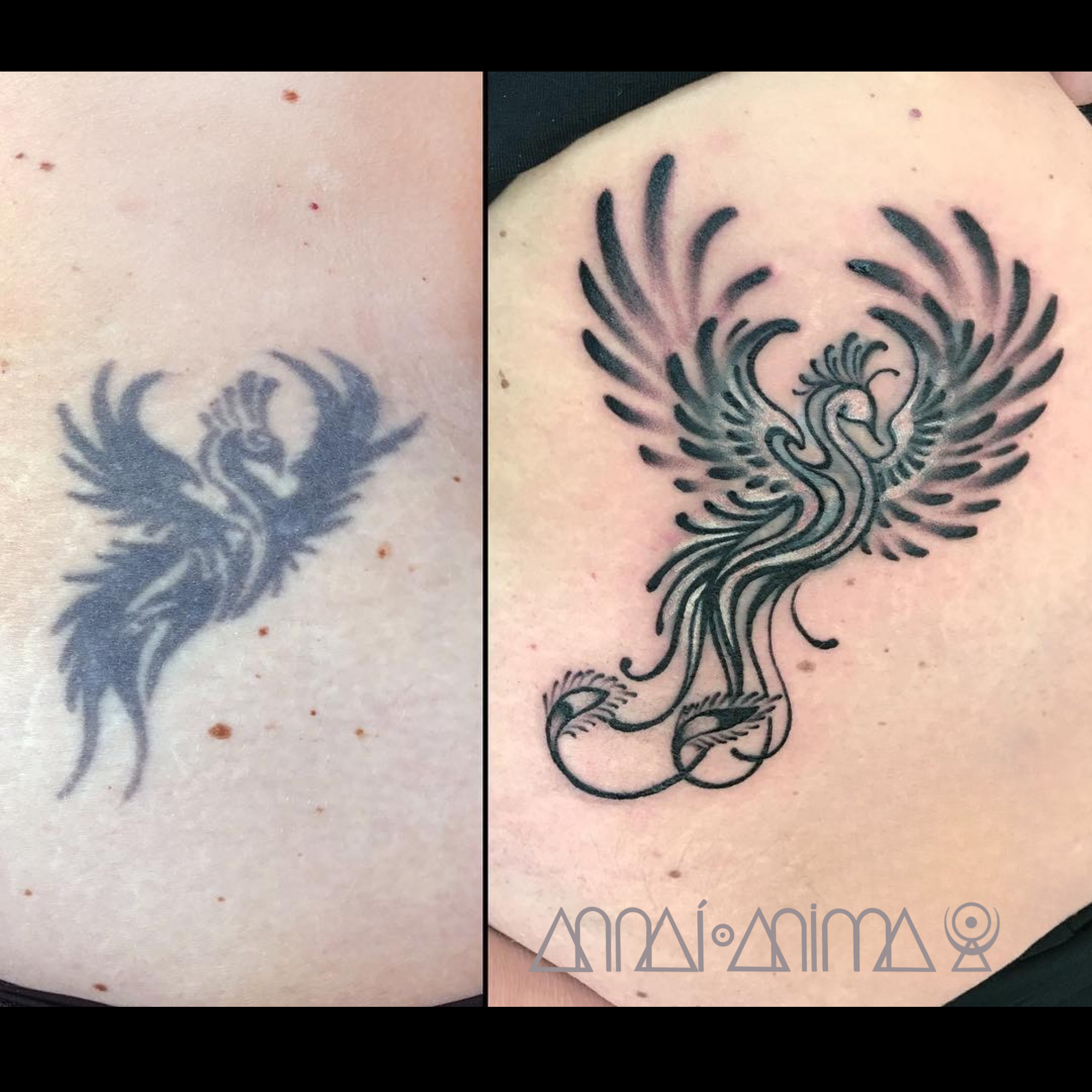 Comparison of two similar black ink phoenix tattoo designs on skin. The left tattoo is a simpler, shaded outline, while the right tattoo is more detailed with additional lines and design elements.