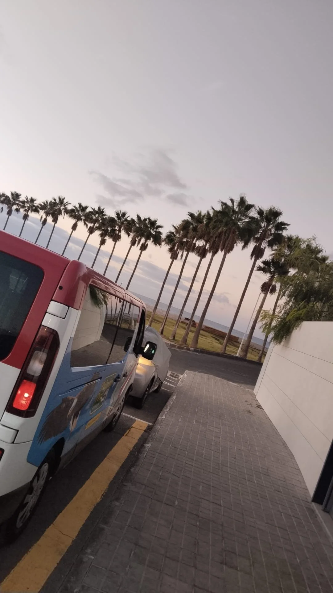 Estacionamiento con dos autos, uno con una cubierta de protección, y en el fondo palmeras junto a un cielo nublado al atardecer.