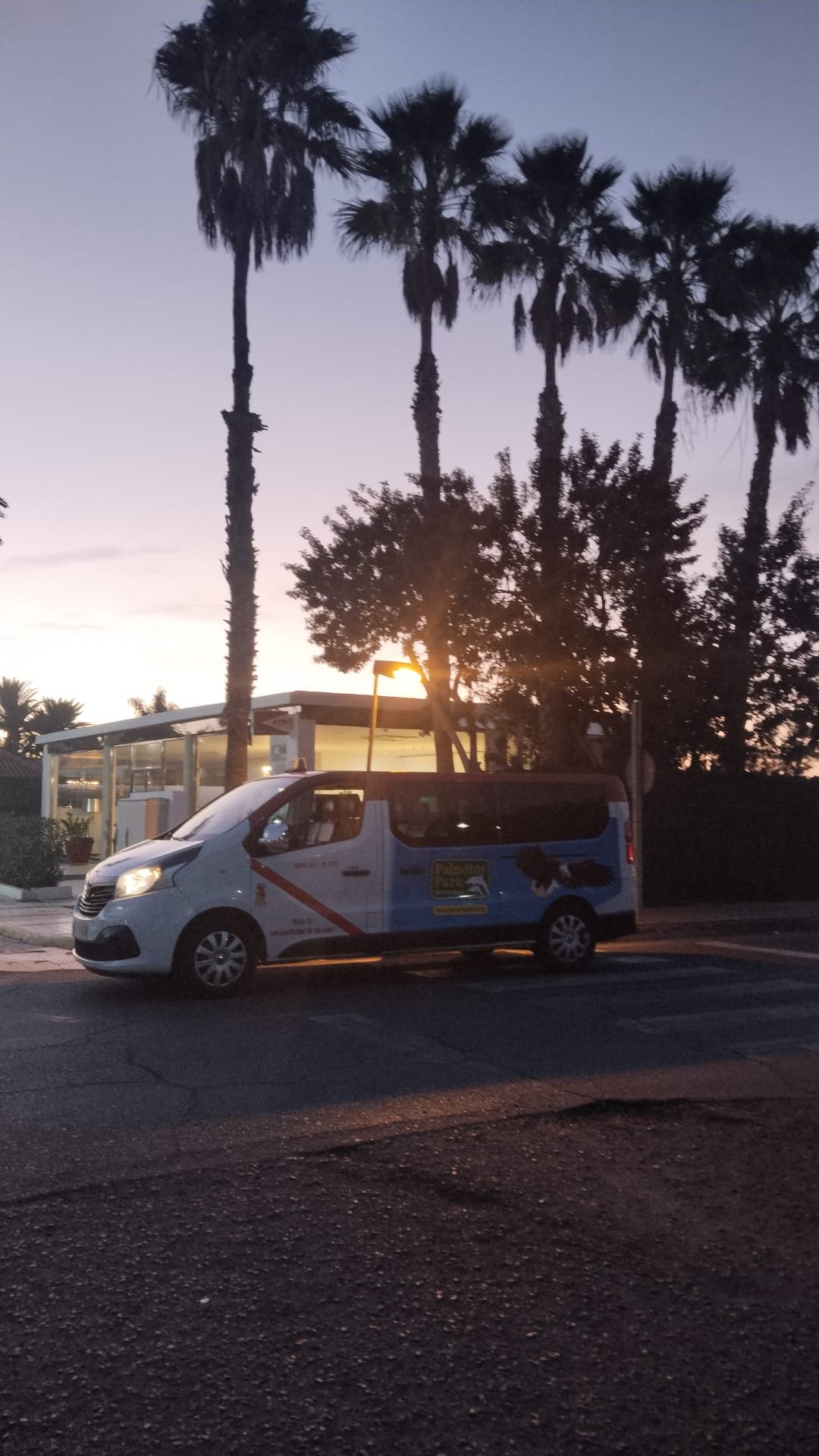 Un coche de transporte público en la calle con palmeras y árboles al fondo, en un lugar con clima cálido al atardecer.