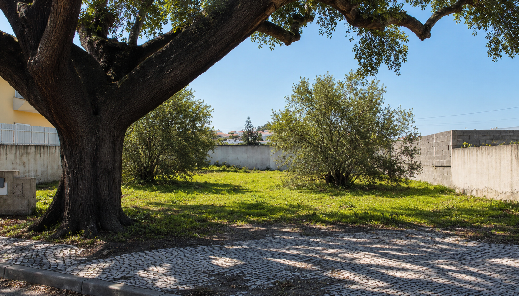 BETWEEN VINEYARDS AND THE SEA