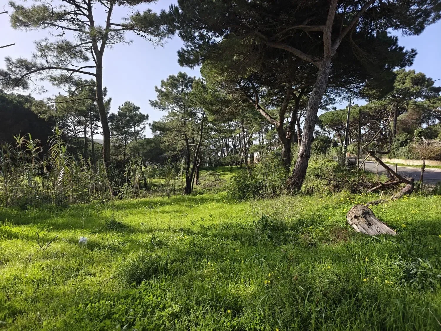 A RARE COASTAL OPPORTUNITY