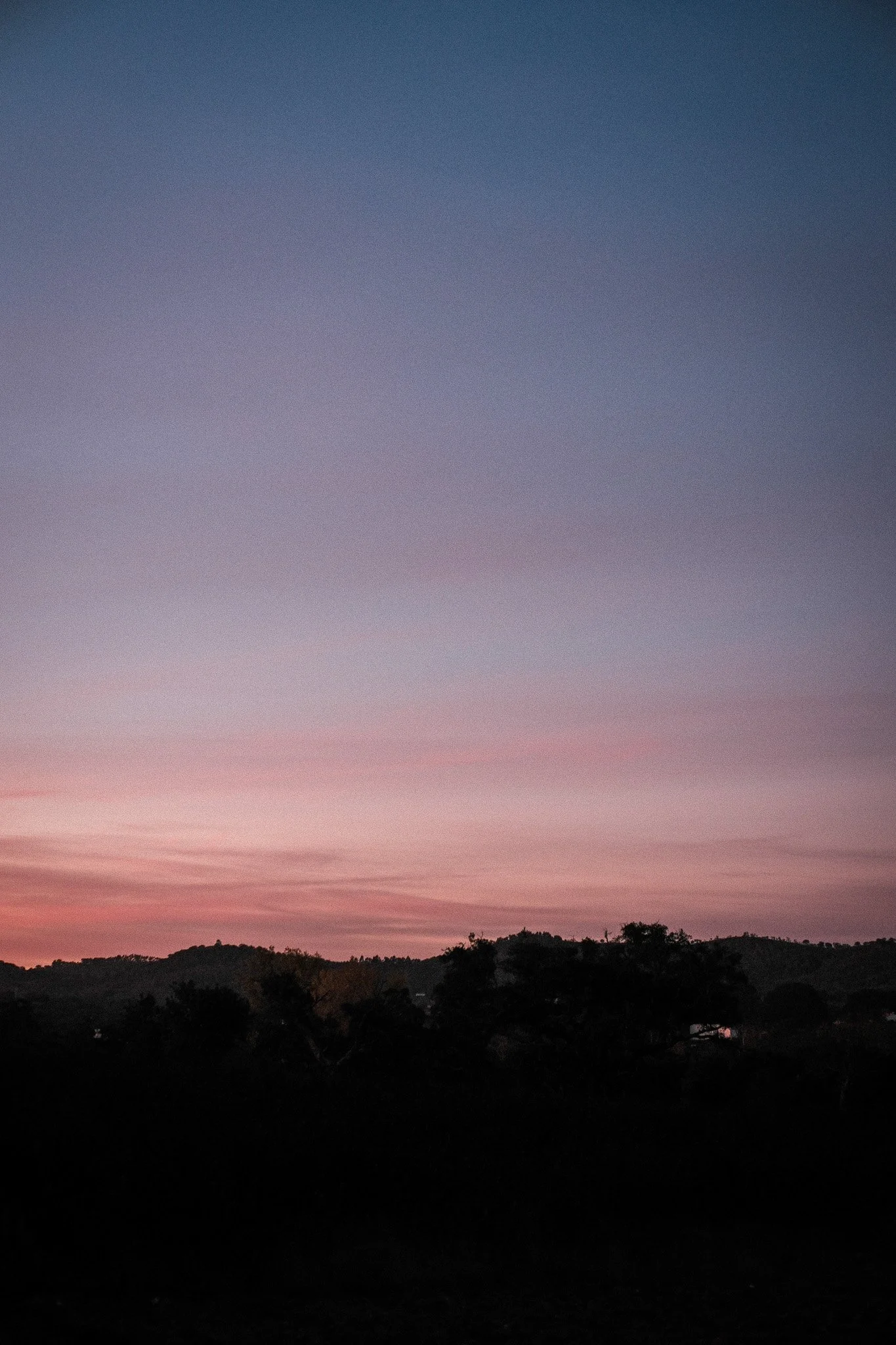 DSCF5030.jpg