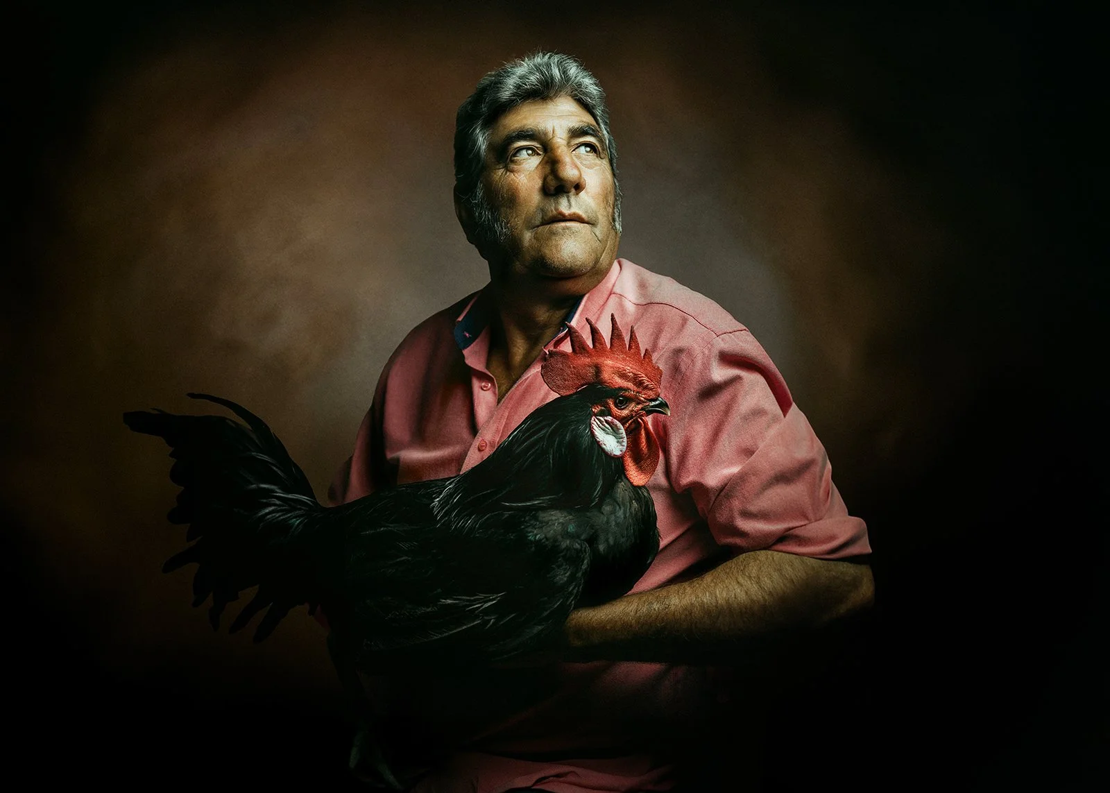 antonio-el-pollo-merchemoriana.jpg