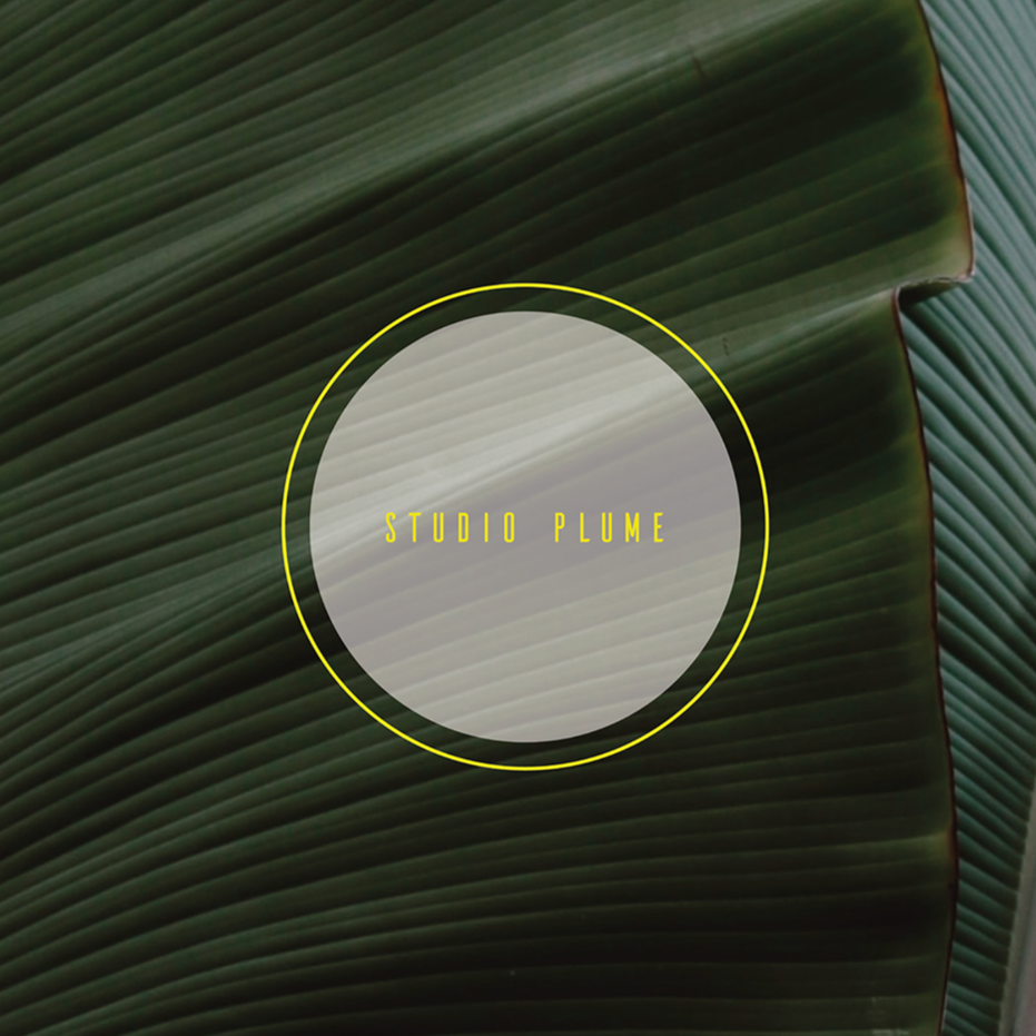 Une image avec un fond de feuille verte avec des lignes parallèles, contenant un cercle blanc avec un contour jaune et le texte "STUDIO PLUME" en jaune à l'intérieur.