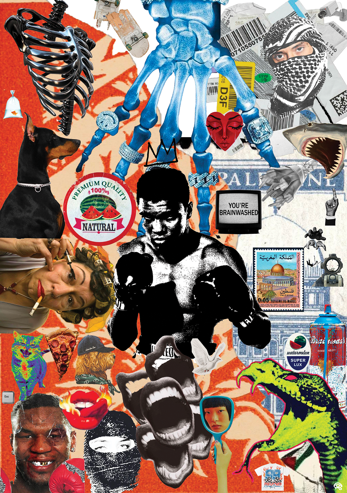 Une composition collage colorée comprenant des éléments variés : squelettes, un chien Doberman, un boxeur noir, une femme avec un cigare, un requin, une épave d'avion, des étiquettes de voyage, un masque de visage, une affiche de Palestine, une canet