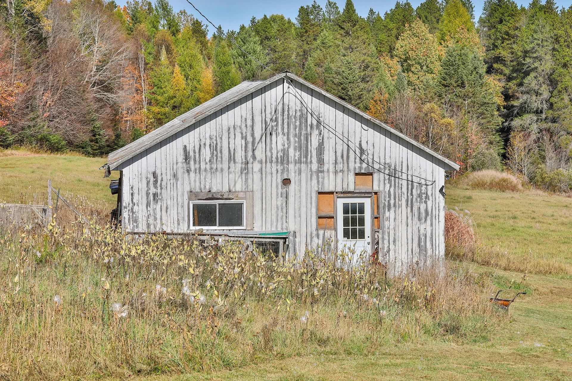 Une vieille maison en bois peinte en blanc avec des fenêtres et une porte, entourée d'herbe et située dans un paysage rural avec une forêt en arrière-plan.
