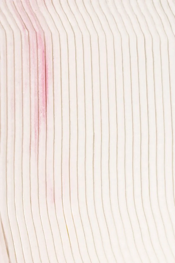 Motif de lignes verticales blanches et beiges avec une tache rose sur la gauche.