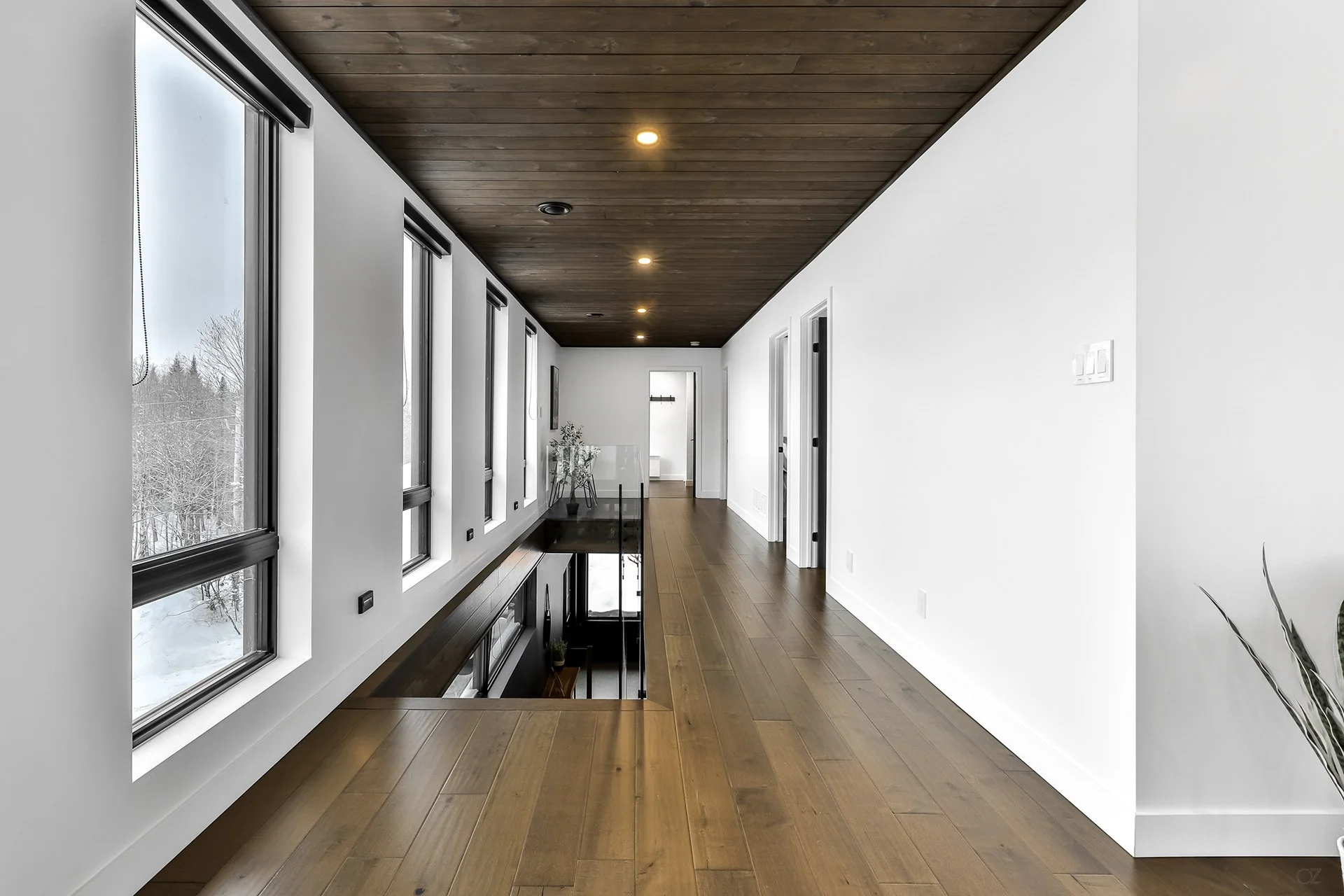 Passage intérieur d'une maison moderne avec plusieurs fenêtres et un plafond en bois, sol en parquet, décor minimaliste avec plantes.