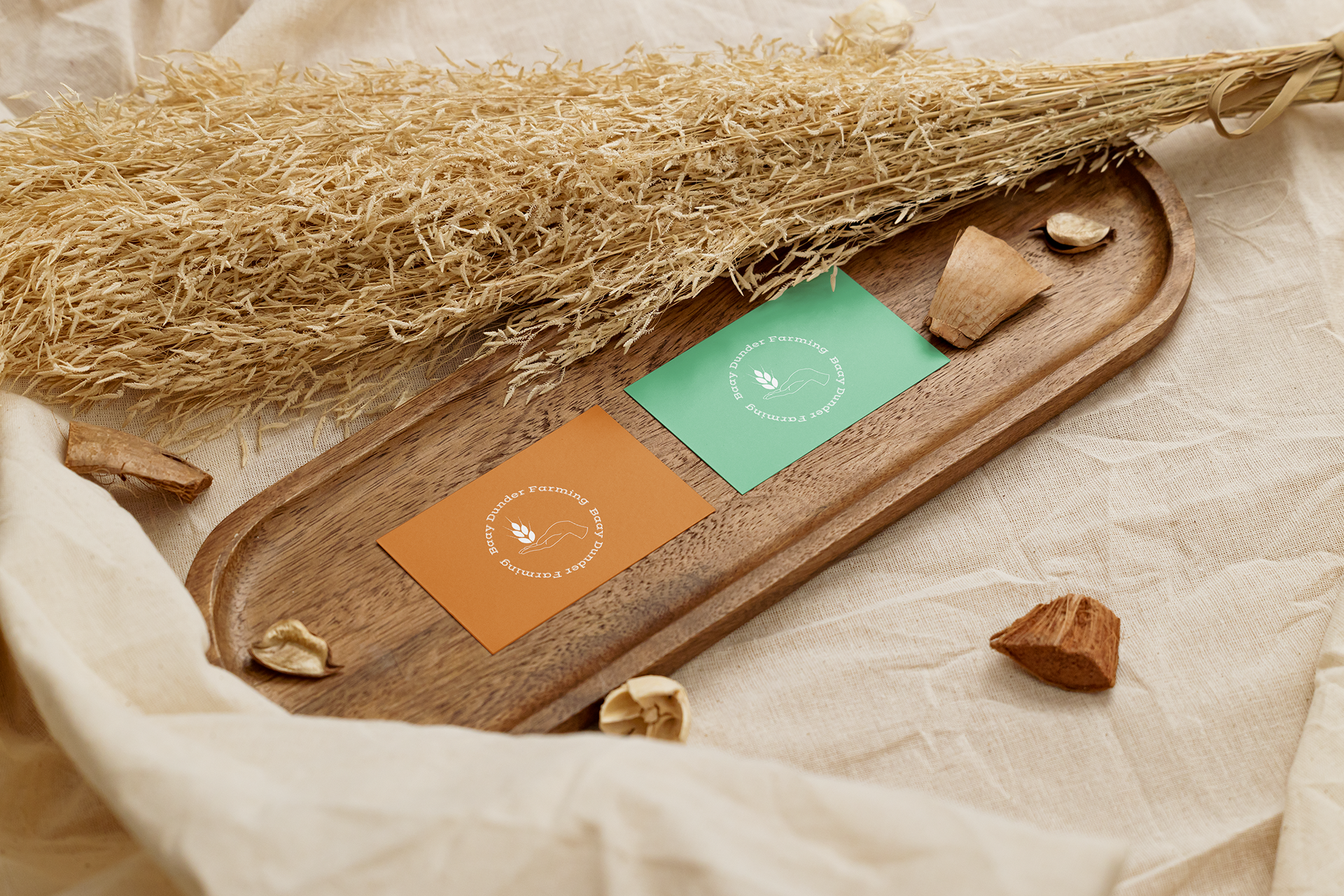 Des épis de blé séché, des plaques de couleur orange et verte avec un logo et des textes, une petite coquille et un morceau de bois sur un plateau en bois, tous disposés sur un drap beige.