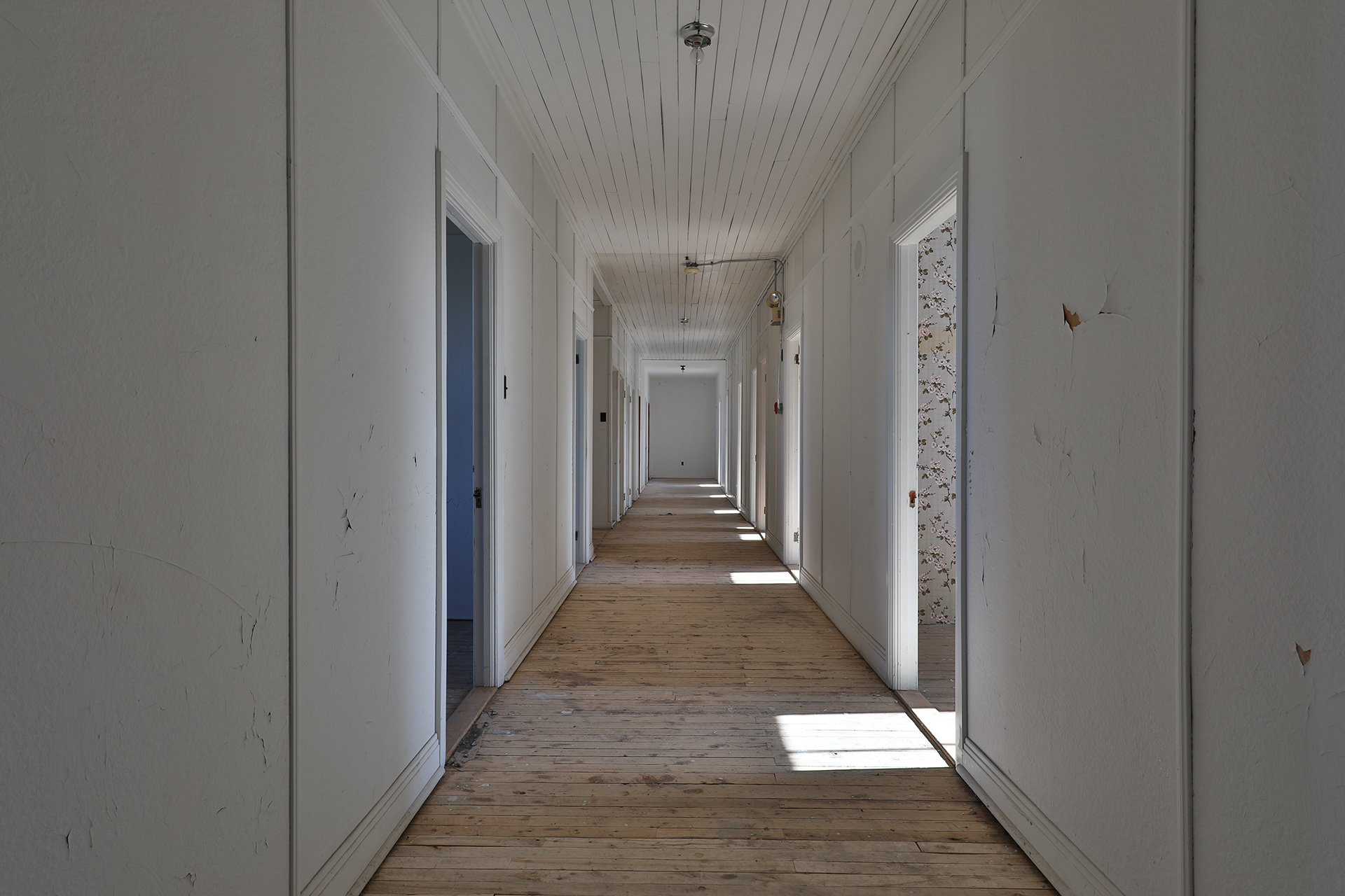 Couloir intérieur avec murs blancs, plancher en bois clair, portes ouvertes sur chaque côté, plafond en bois, lumière naturelle entrant par une fenêtre à l'extrémité, état de construction avec quelques imperfections visibles.