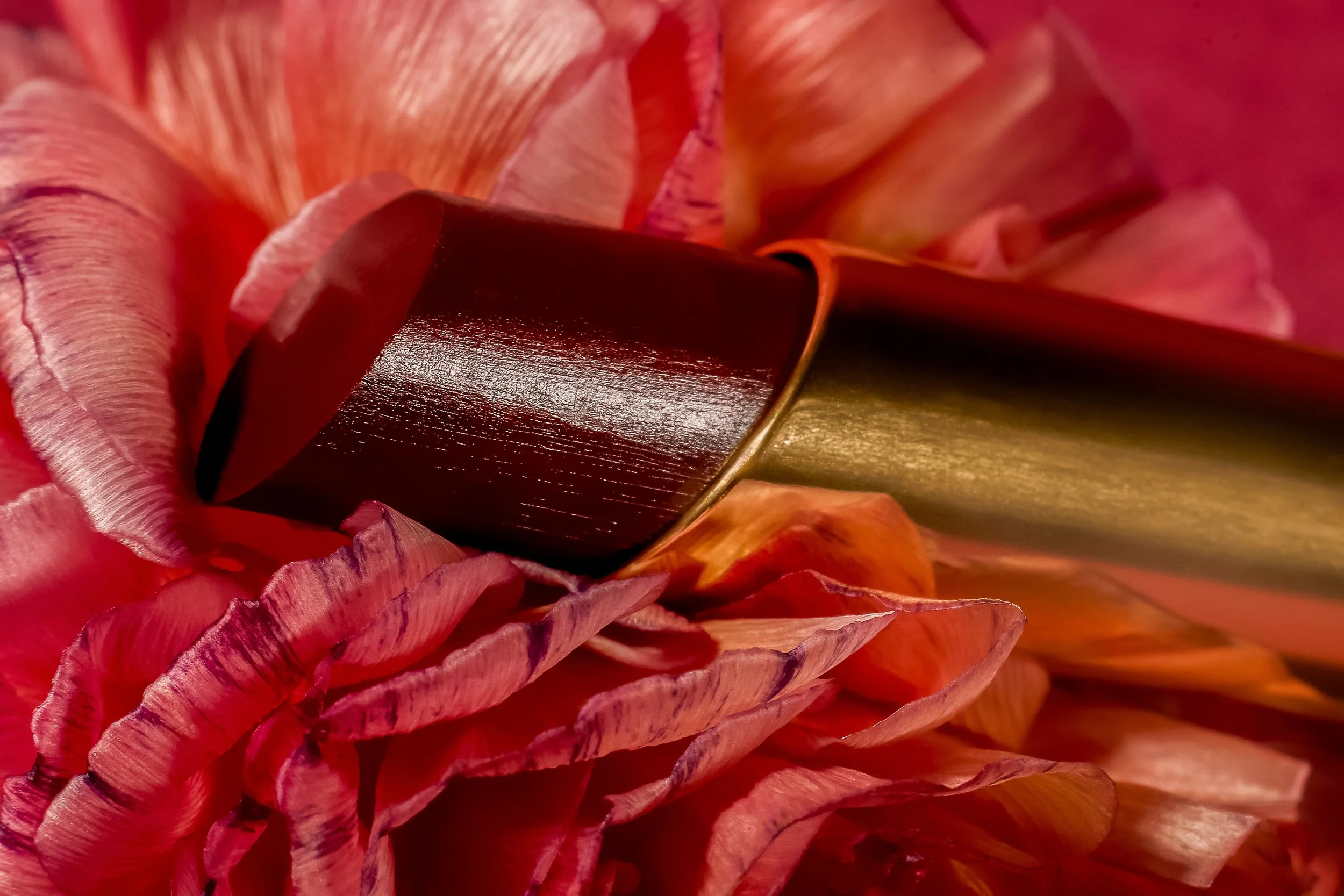 Une fleur avec des pétales rouges et un pistil de couleur vert foncé.