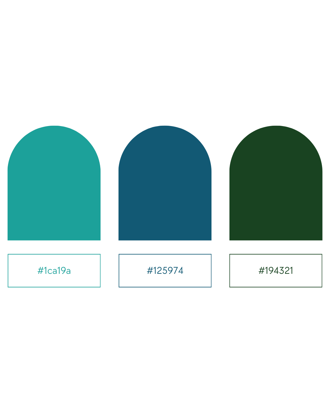 Trois formes arrondies de couleur turquoise, bleu foncé et vert foncé avec leurs codes couleurs respectifs : #1ca19a, #125974, #194321.