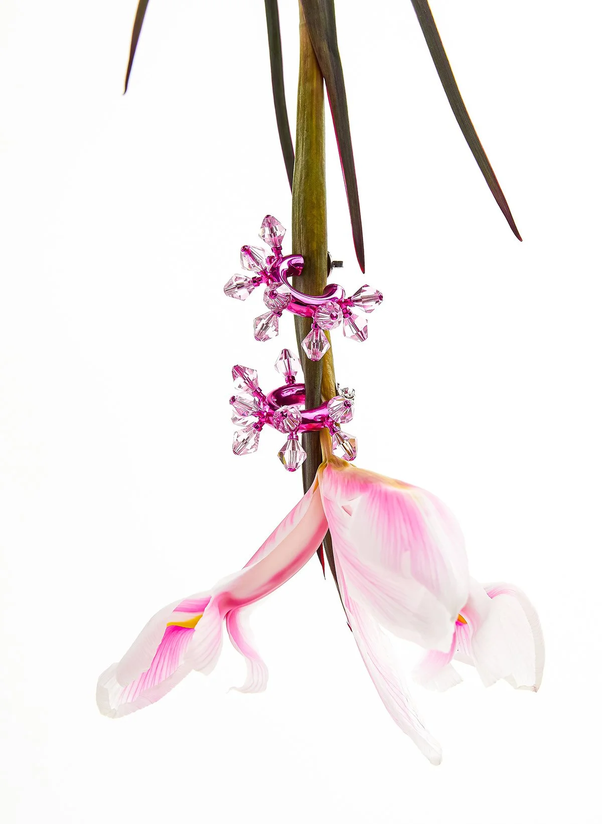 Une orchidée rose pâle suspendue avec des clips roses en plastique décoratifs.