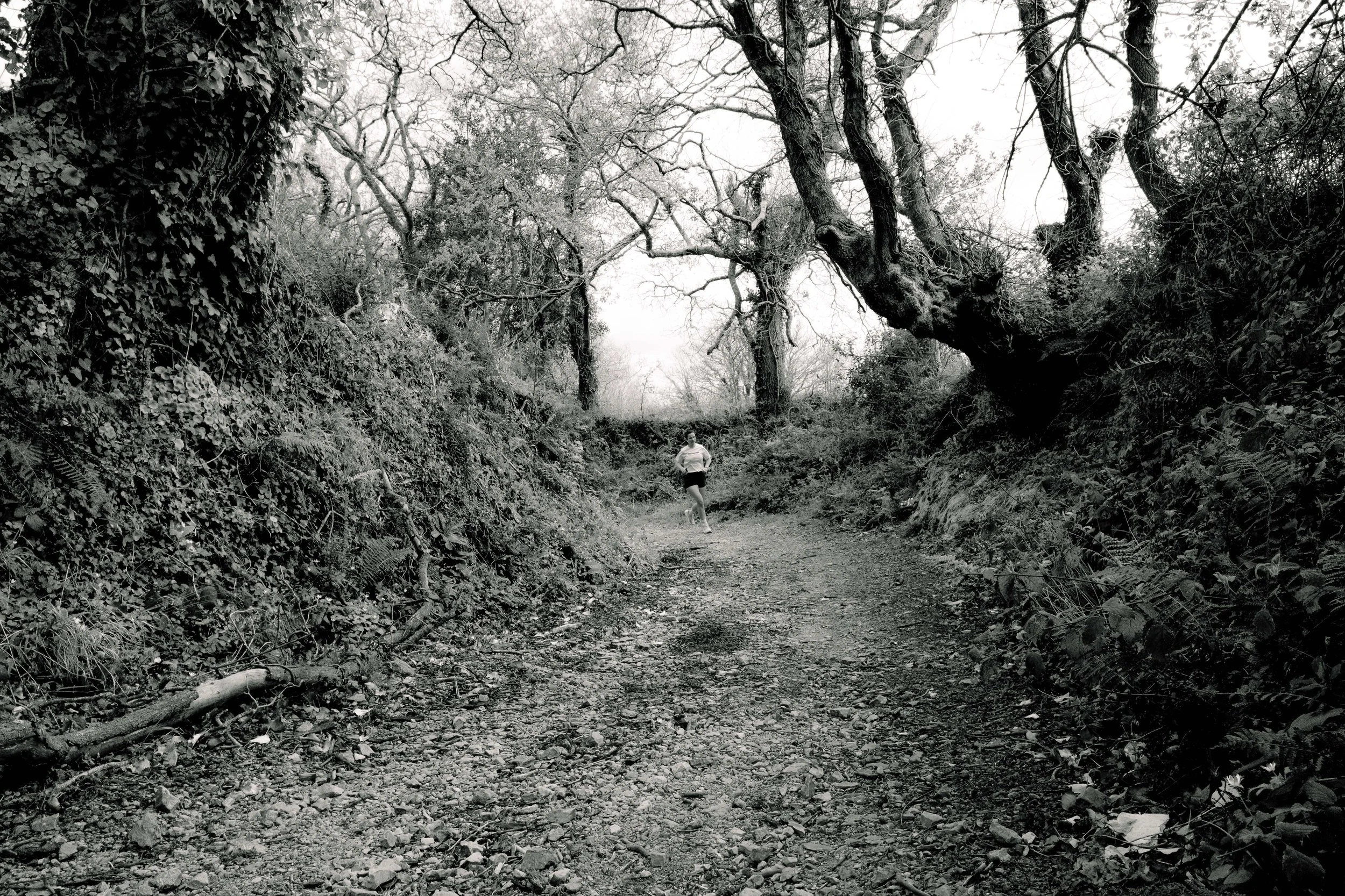 Sentier dans une forêt avec un joggeur en arrière-plan, arbres sinueux et feuillage dense, en noir et blanc.