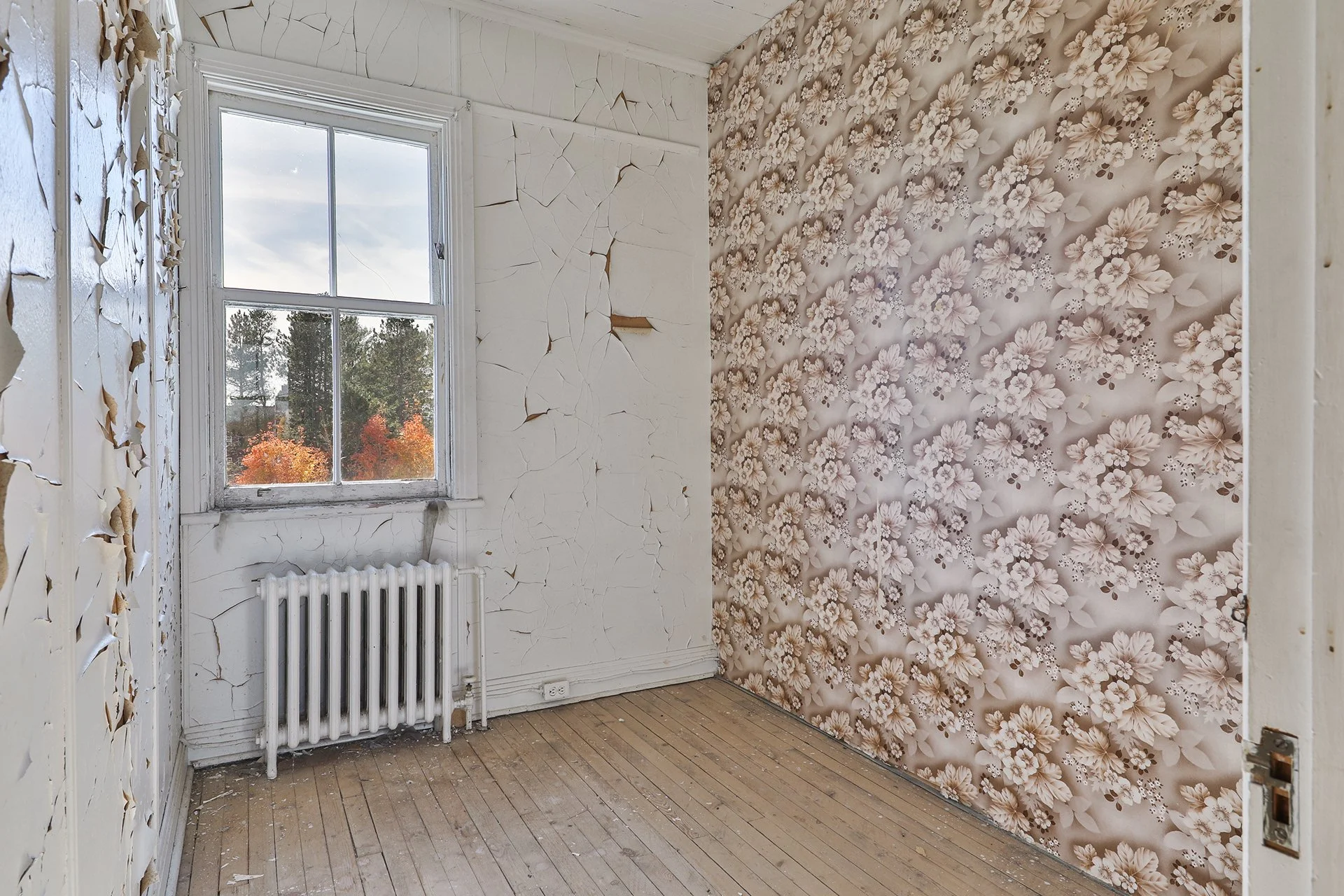 Une pièce vide avec un mur recouvert de papier peint à motifs floraux, une fenêtre laissant passer la lumière, un radiateur blanc et un sol en bois.