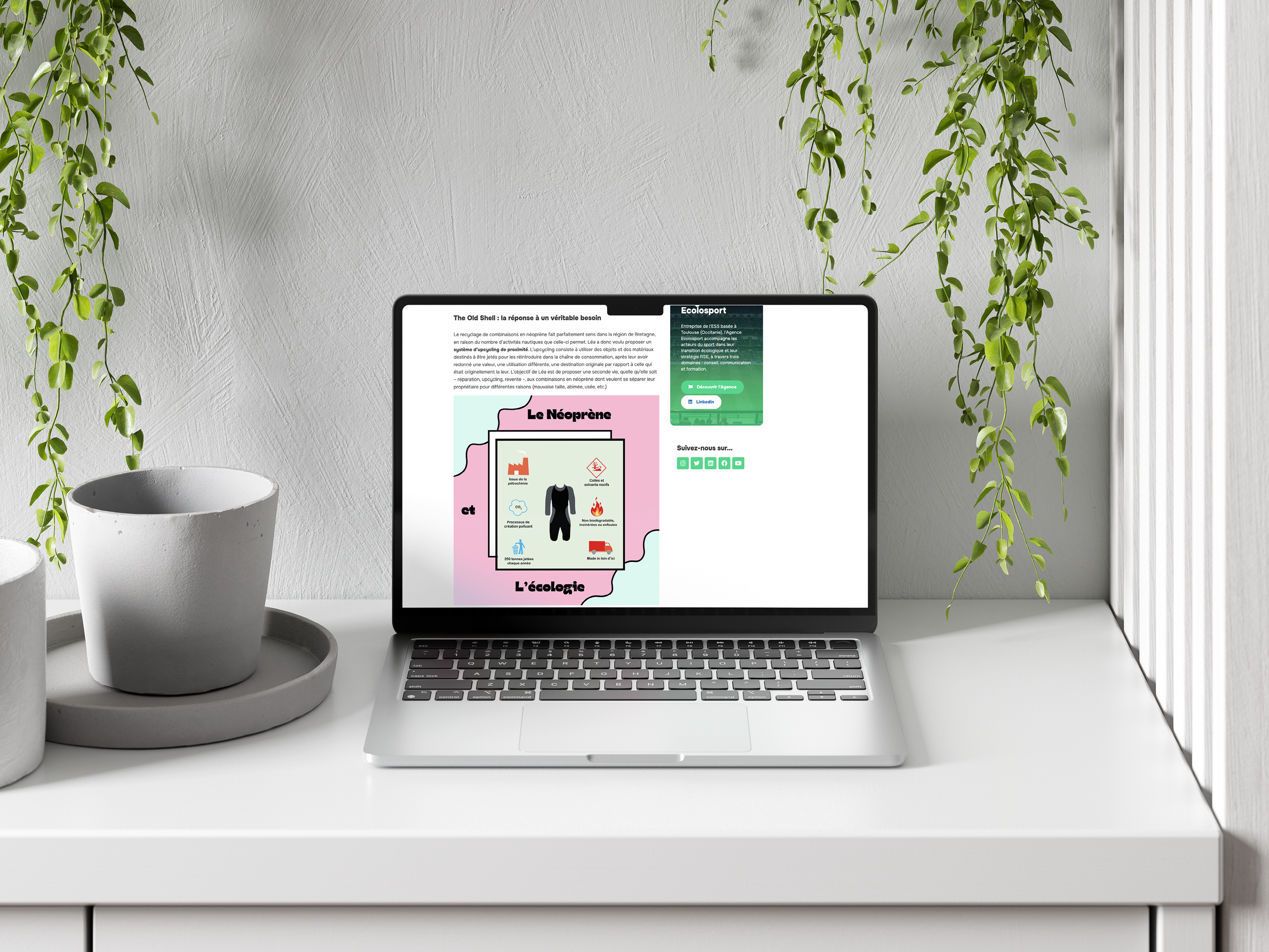 Un ordinateur portable ouvert sur une table blanche avec deux pots en céramique blancs à gauche, des plantes suspendues au plafond, un mur blanc en arrière-plan et une fenêtre pour le côté droit, affichant un article sur l'écologie et le Néoprène.