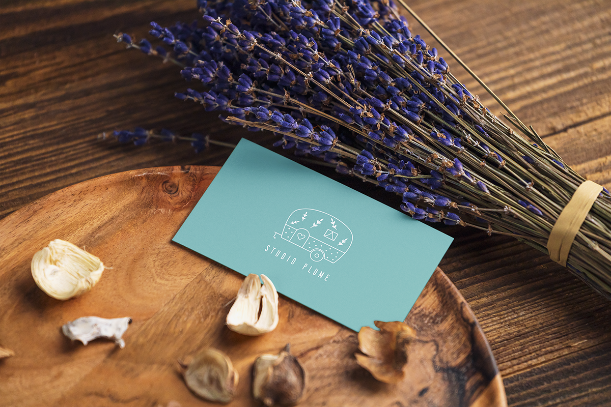 Bouquet de lavande séchée sur une table en bois, accompagnée de coquilles d'ail et d'une carte de visite de Studio Plume.