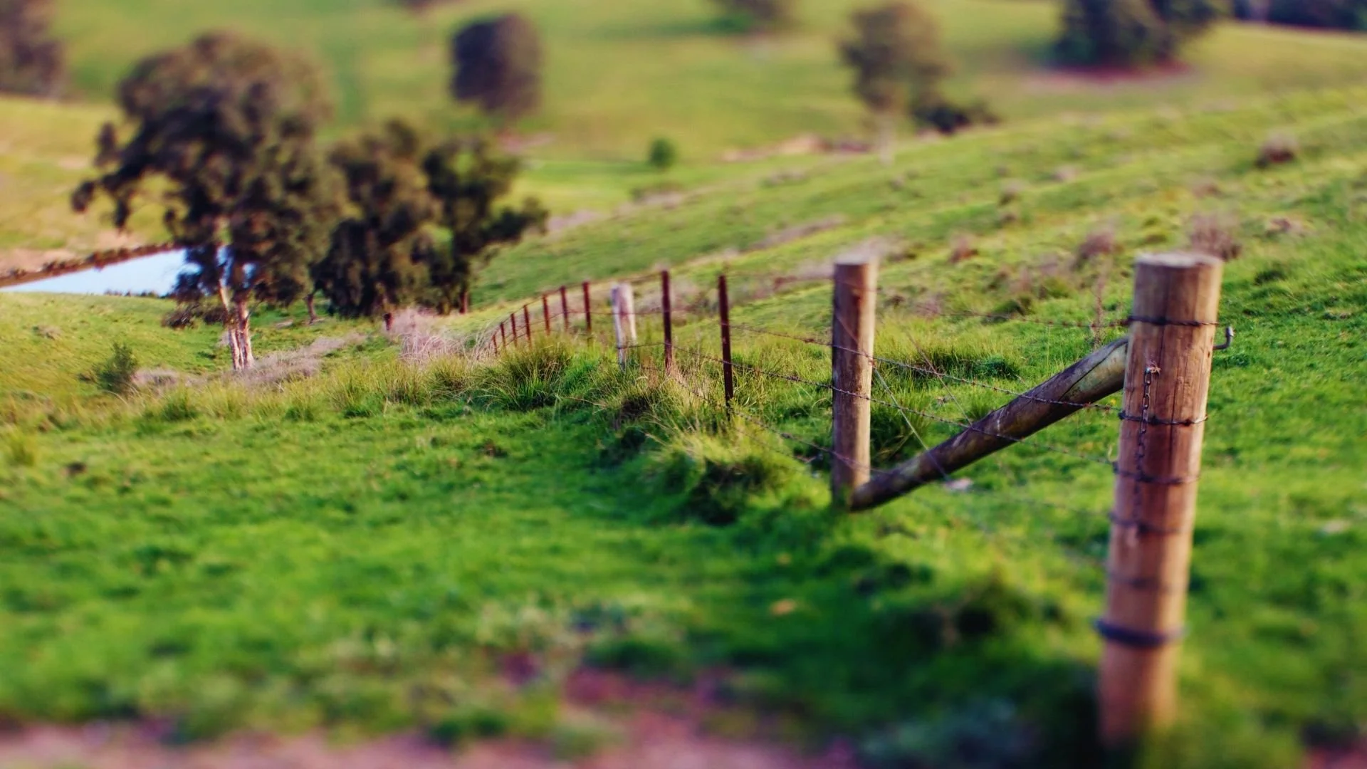 Farm accounting services supporting farming businesses with cashflow management, taxation and business planning.