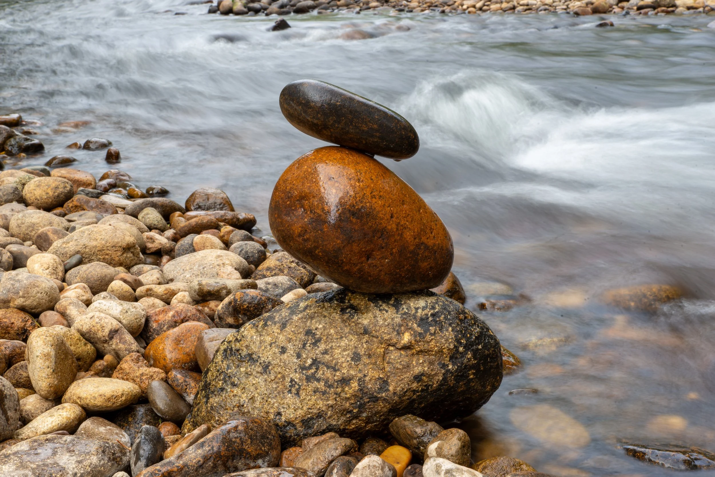 Edi Cutting 2021-03.jpg