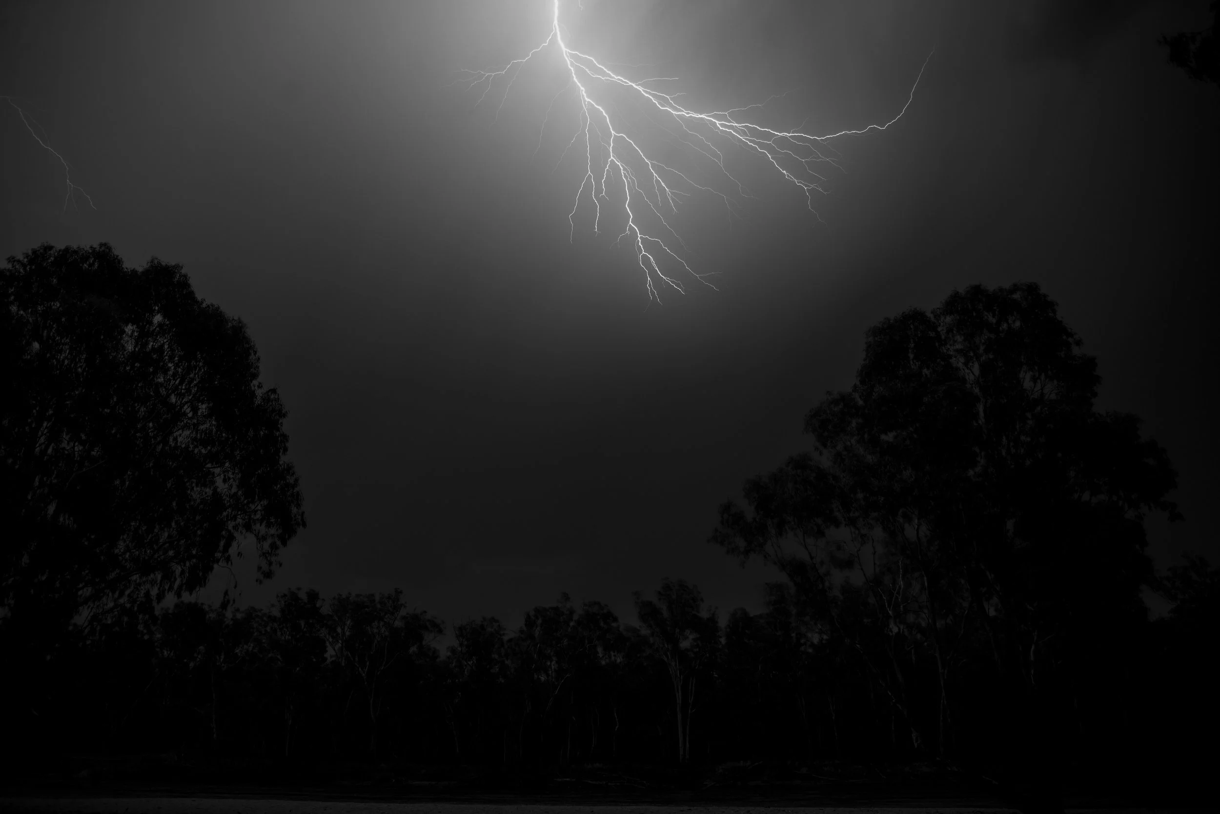 Ulupna iIsland  12012025_03.jpg