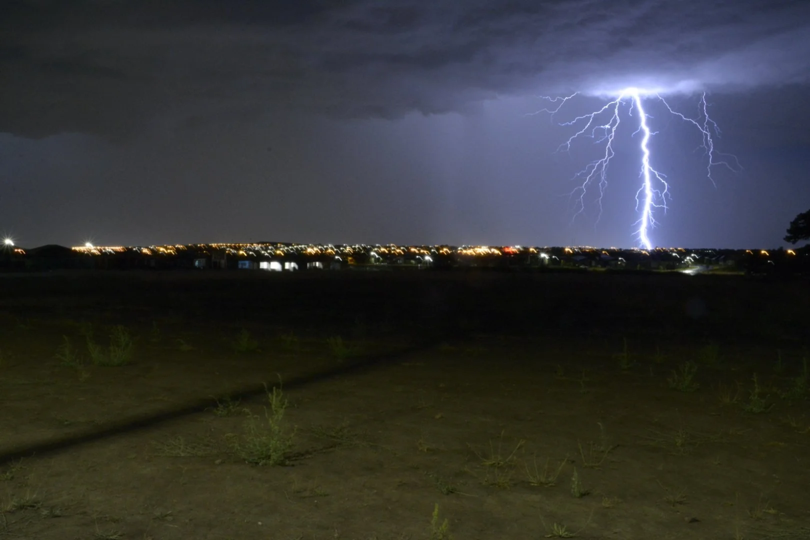 NIKON CORPORATION_NIKON D7100_955387176-955444482__001944-2_other.jpg