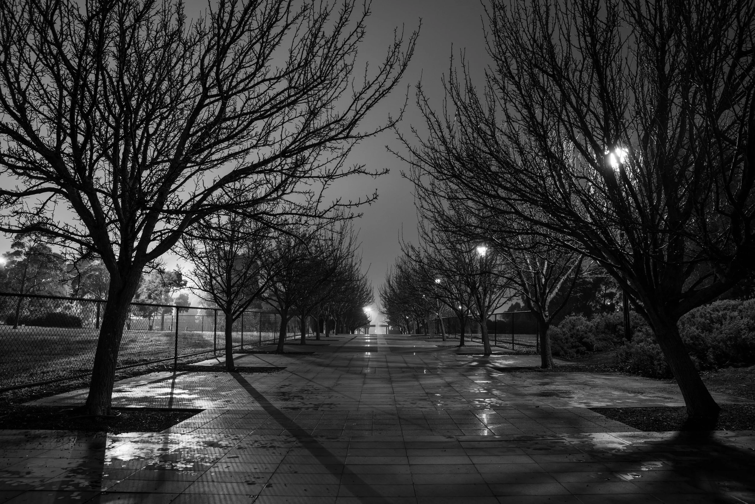 Craigieburn Wrap 2024-56.jpg