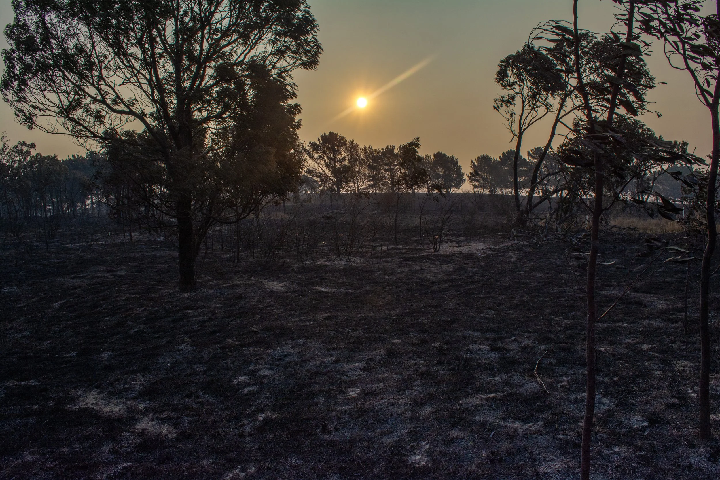 2014 Craigieburn fires.jpg