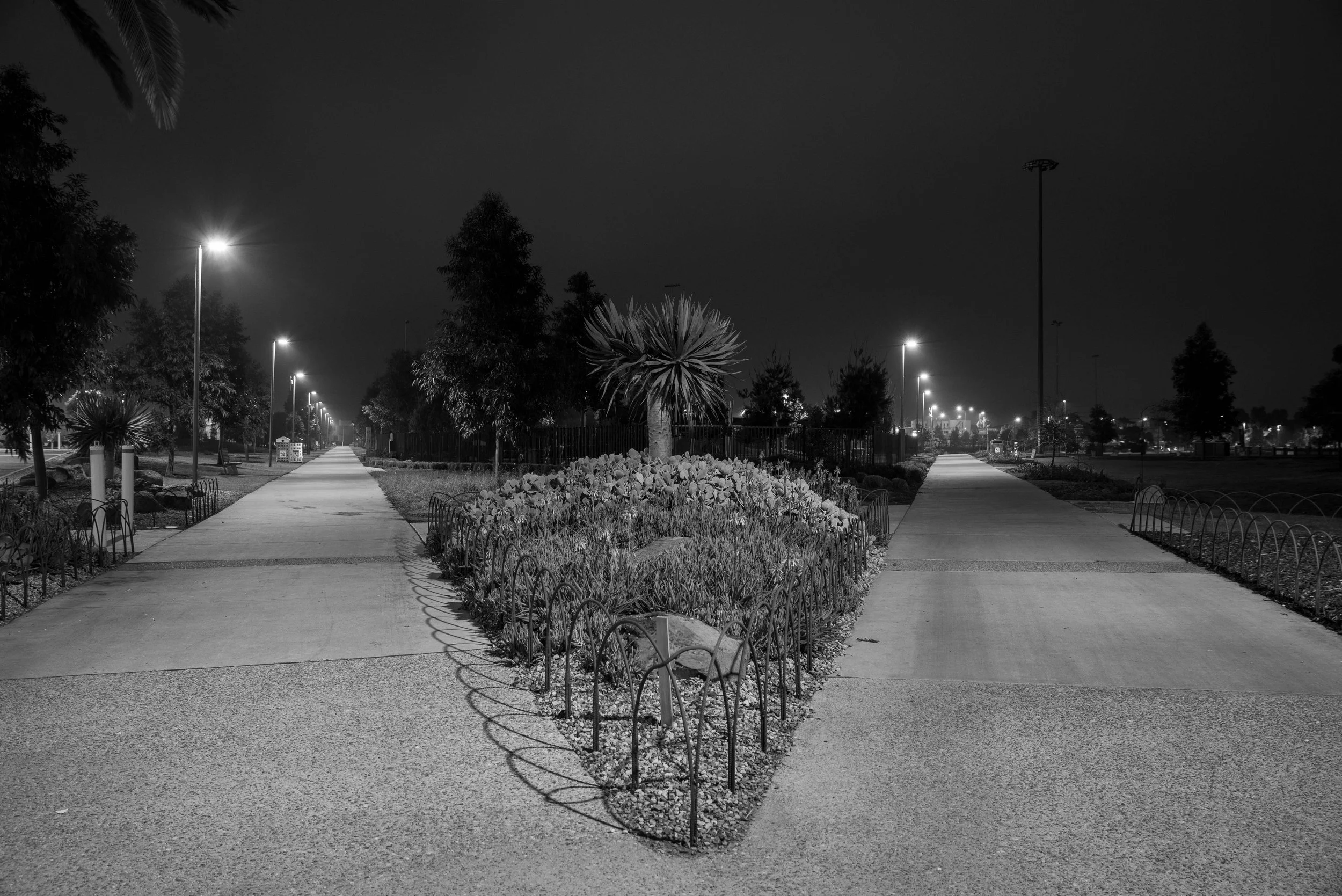 Craigieburn Wrap 2024-38.jpg