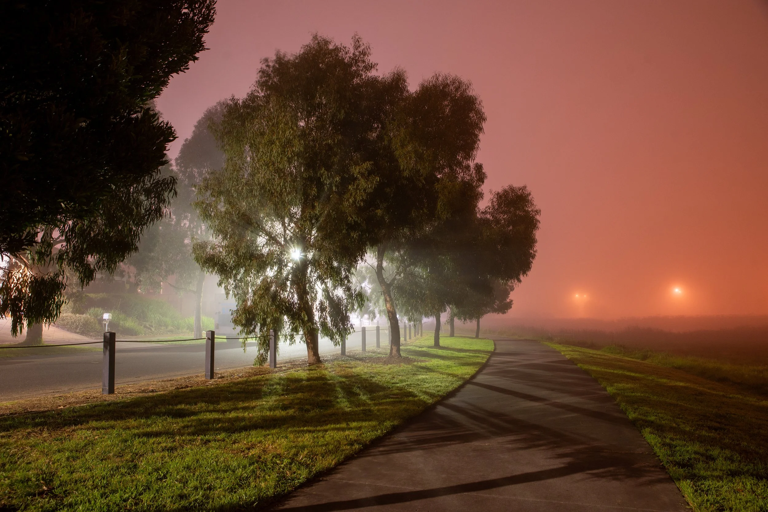 Fog 11.07.2021 046.jpg