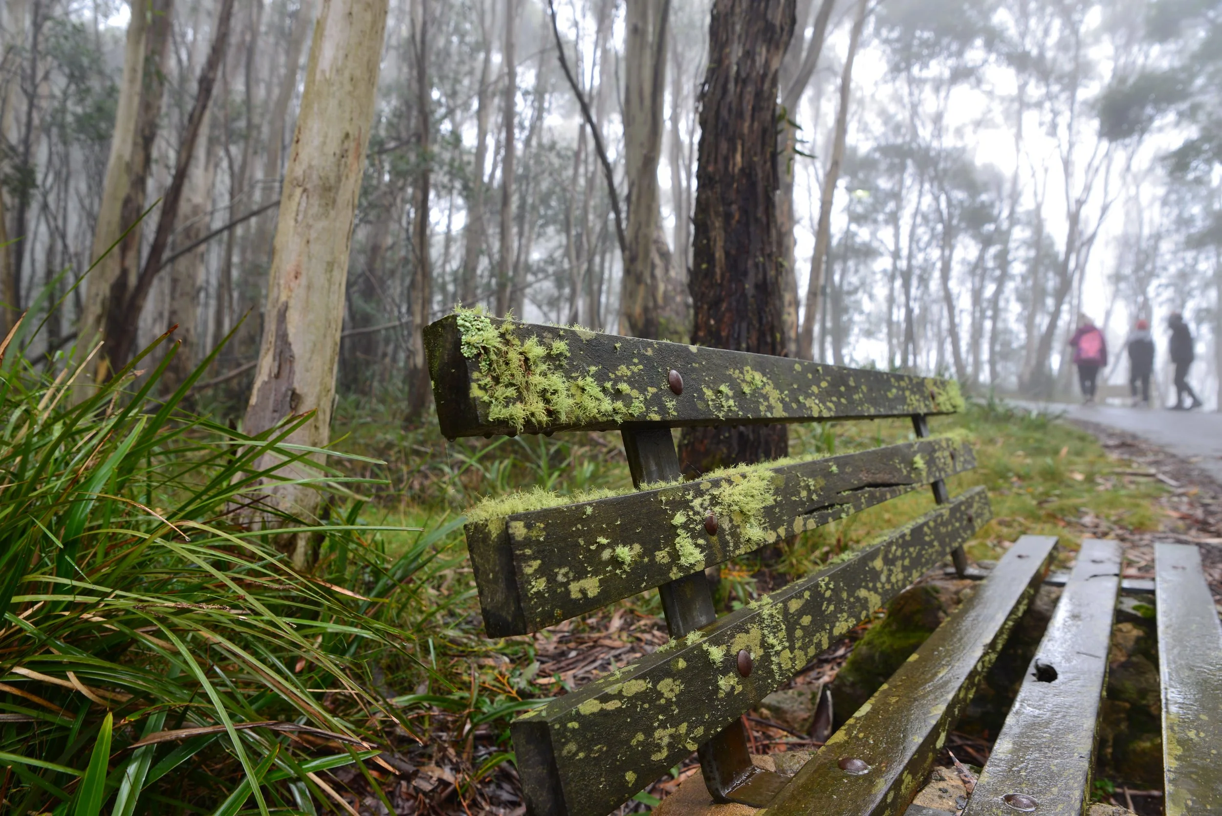 Mt Macedon 2020-45.jpg