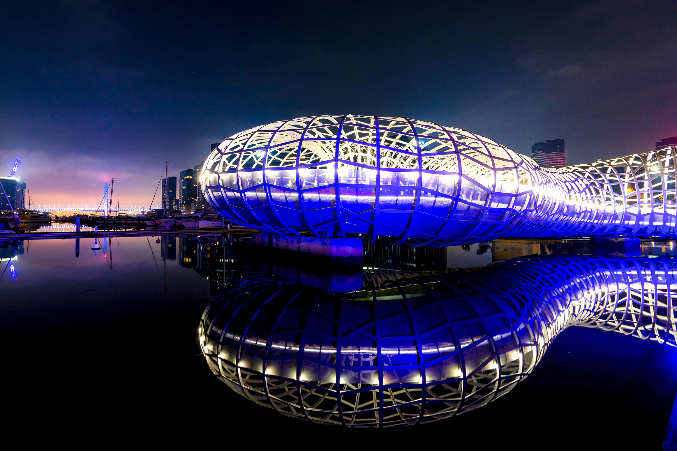 Mel City Covid 2020-425.png