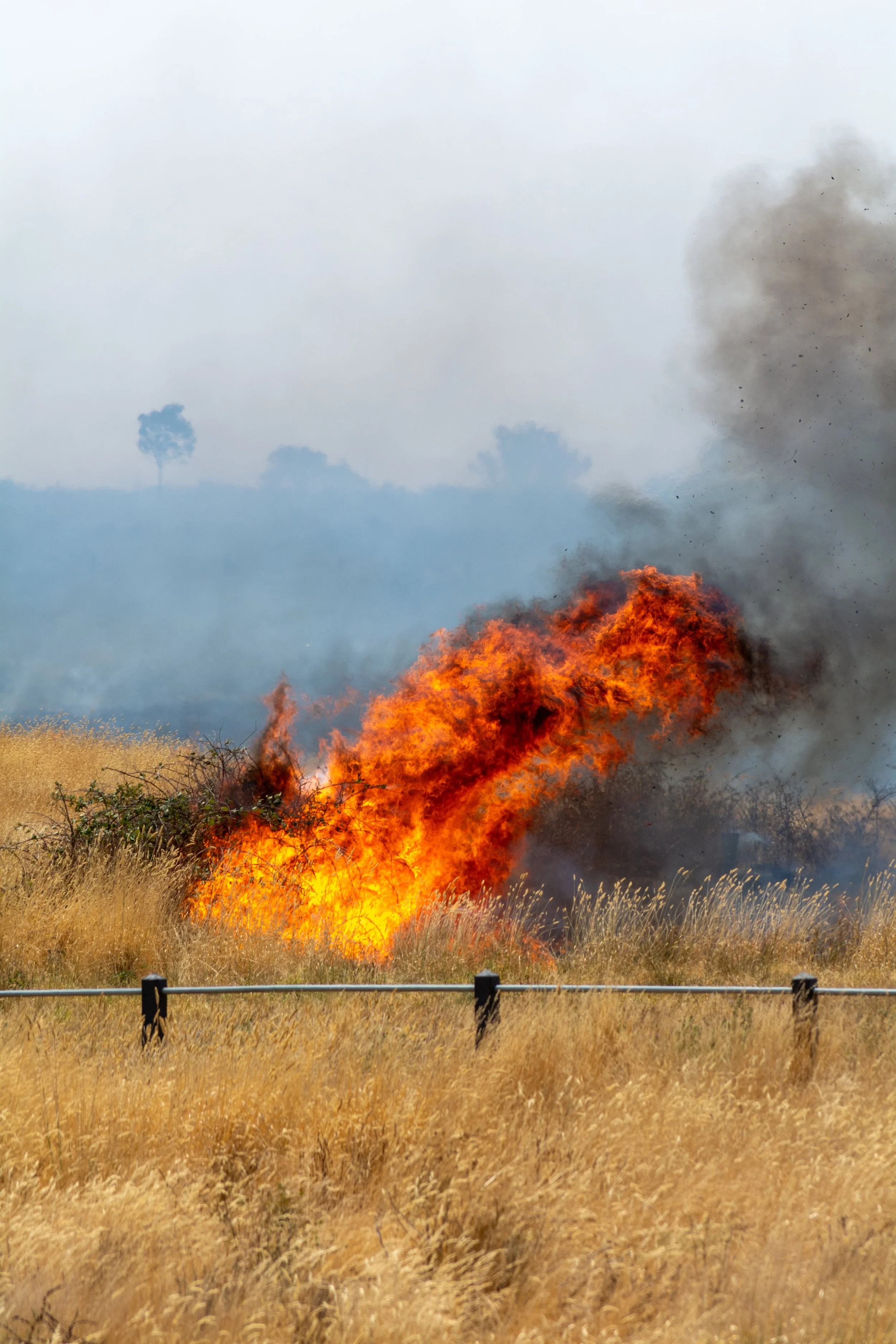 Craigieburn Fire 2014.jpg