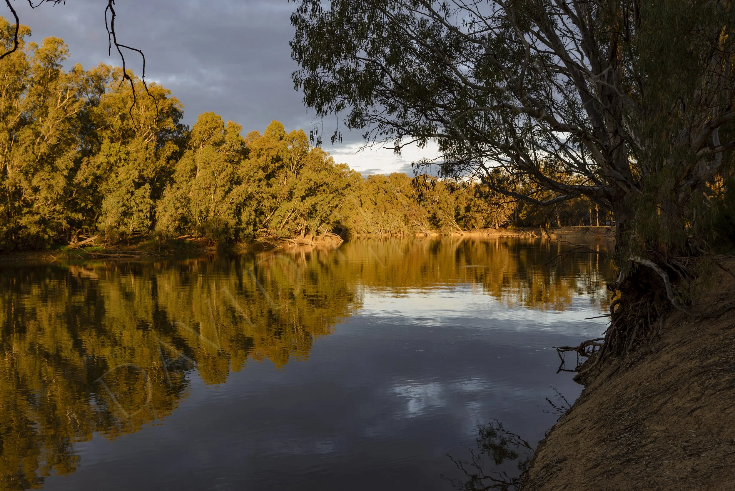 Bungower National Park 2020.jpg