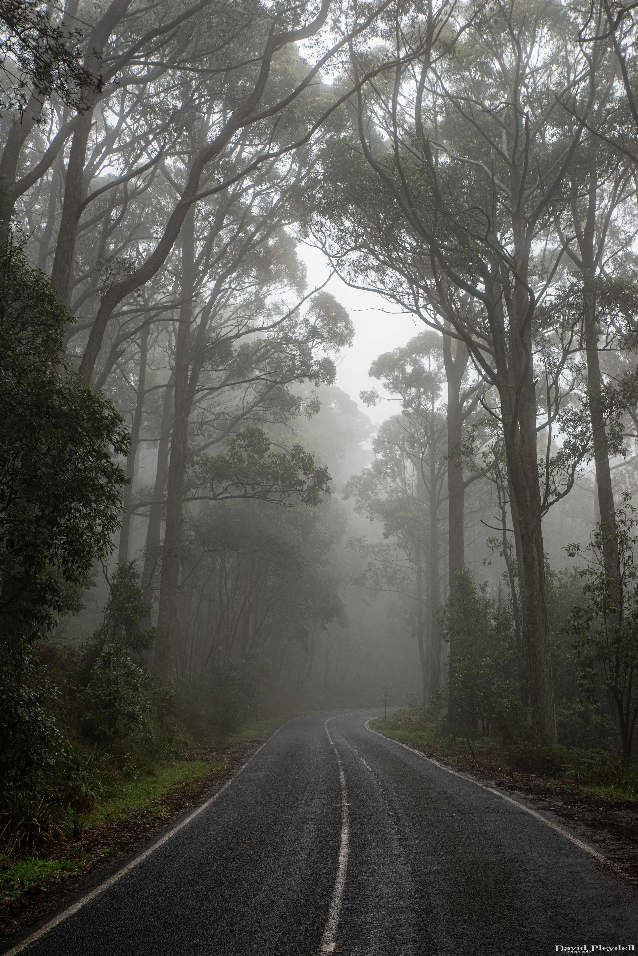Mt Macedon 2020-2.jpg