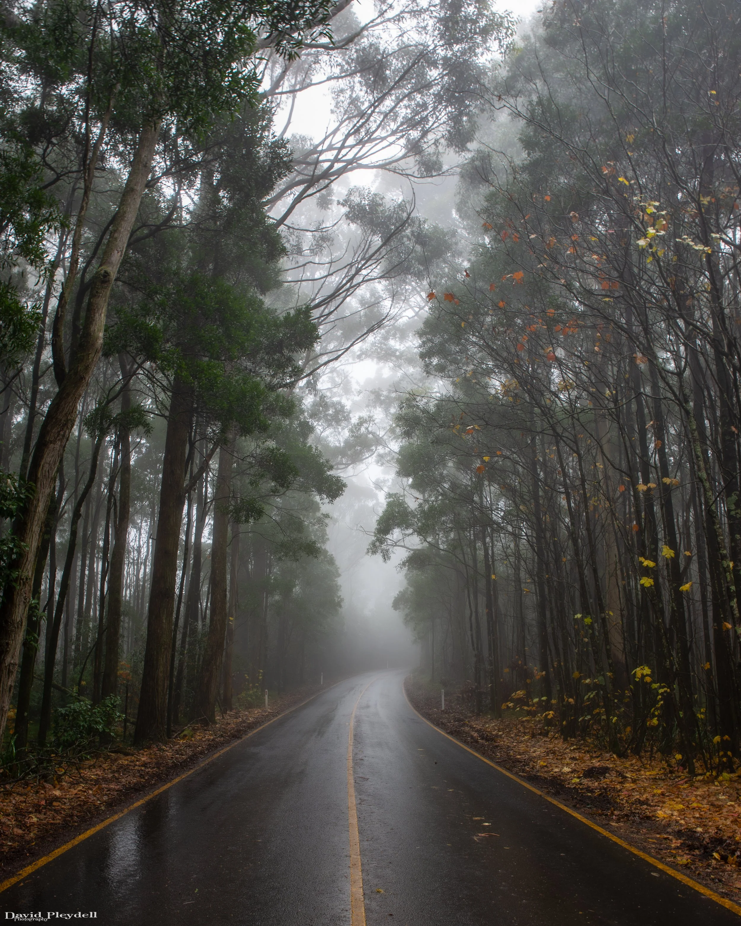 Mt Macedon 2020-30.JPG