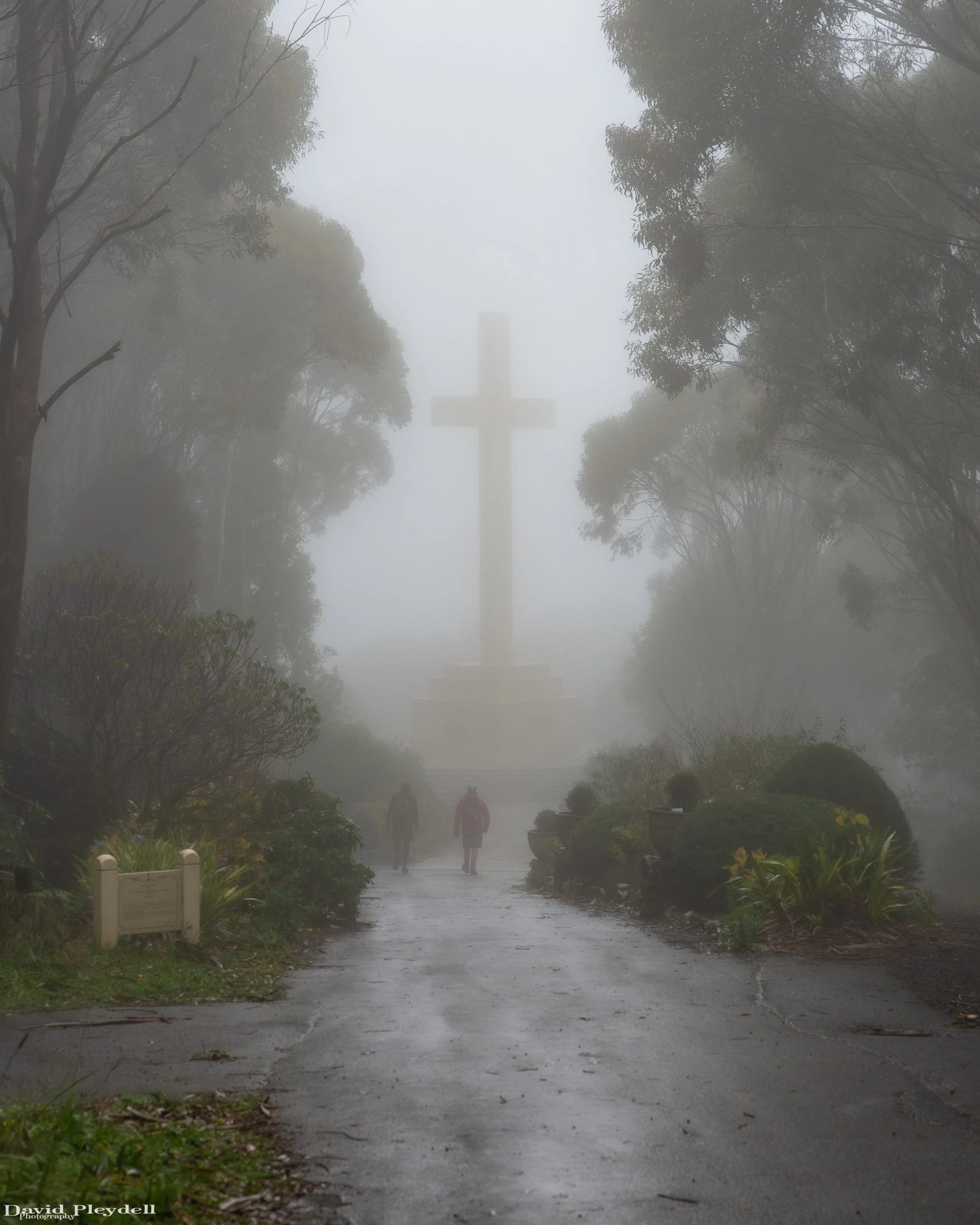 Mt Macedon 2020-1.jpg
