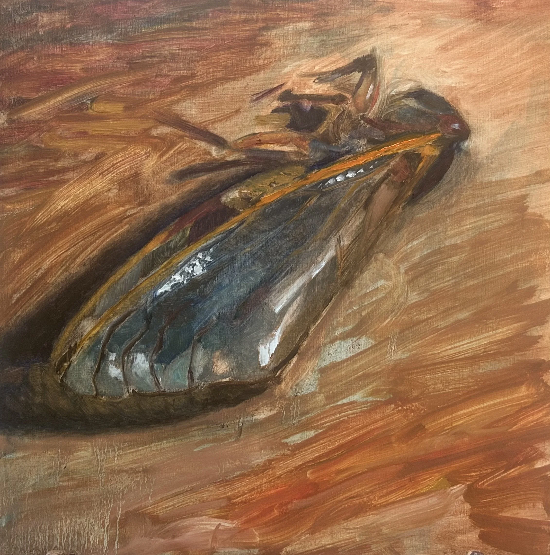  Red Cicada , 10x10, oil on panel