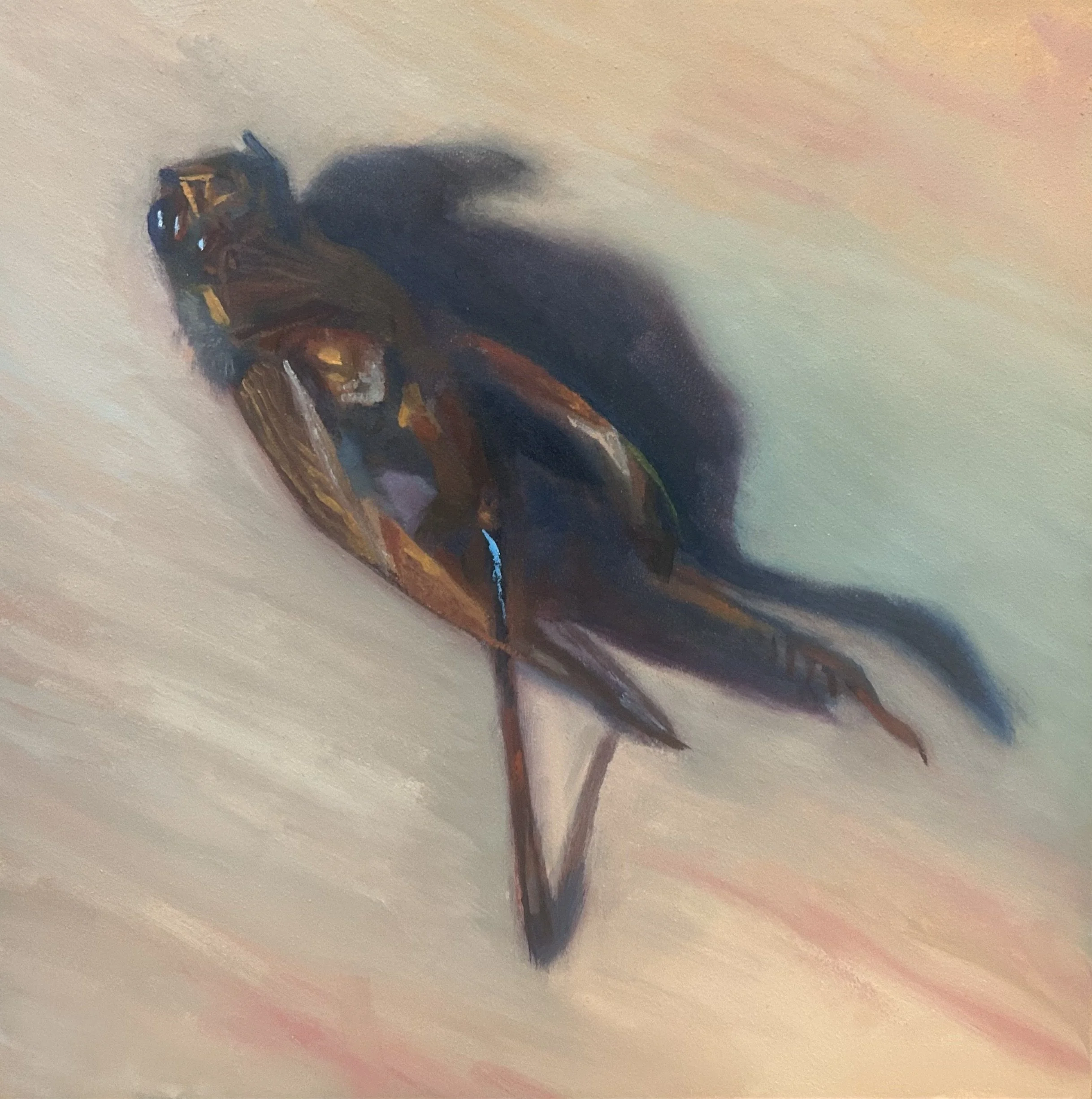  Dead Cricket , 10x10, oil on panel