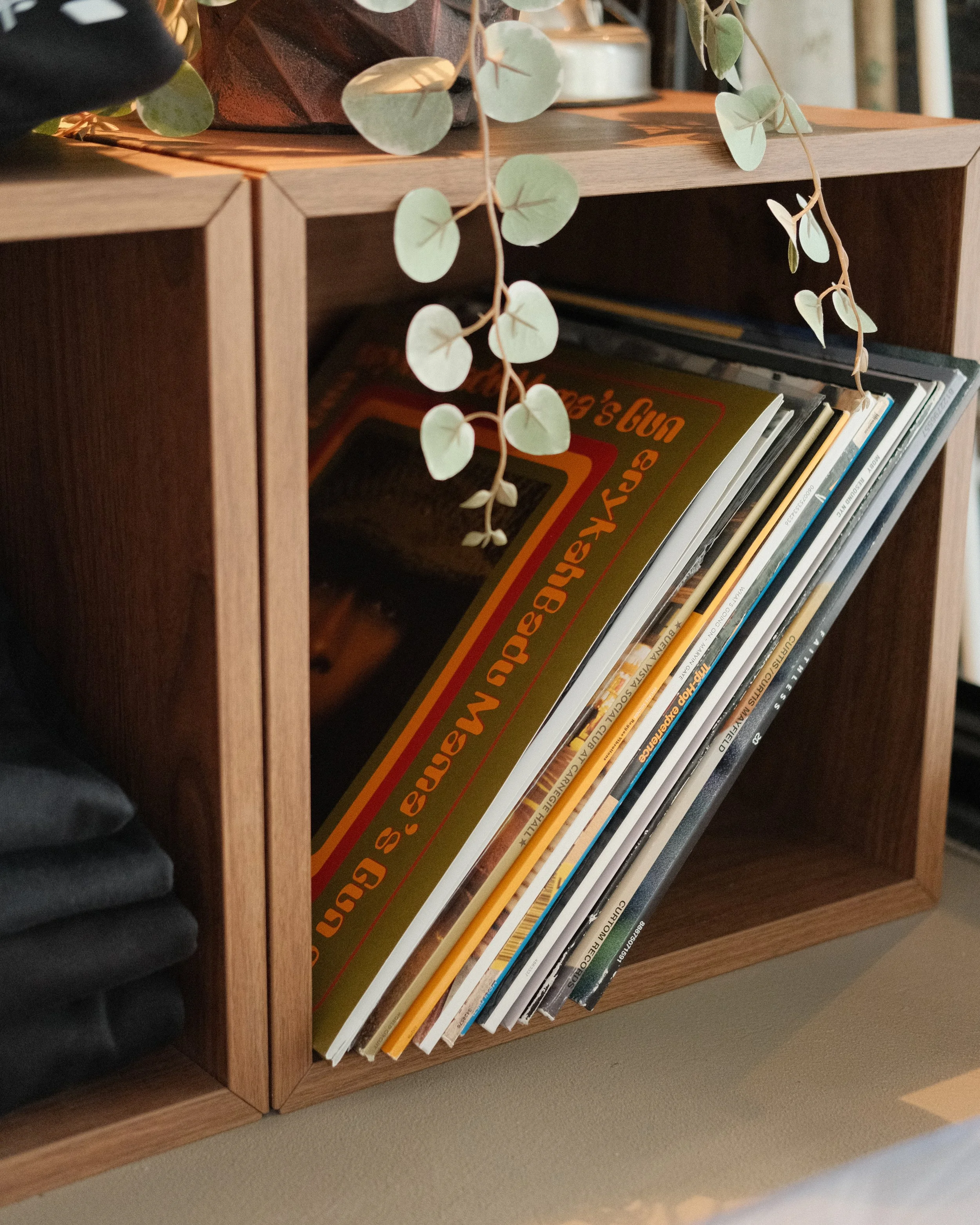 A wooden bookshelf containing magazines and a hanging green plant with round leaves.