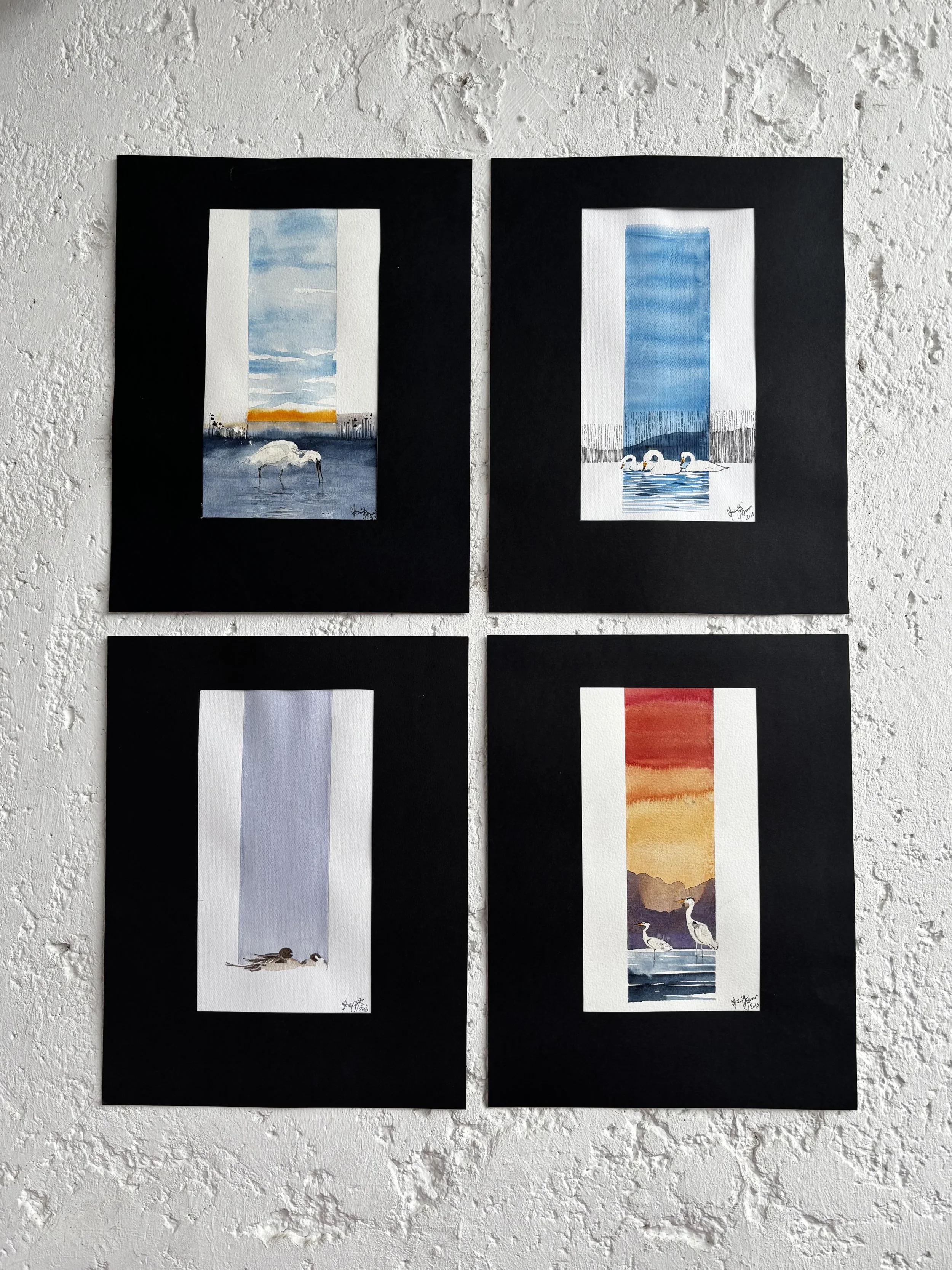 Still Waters — Balaton Birds