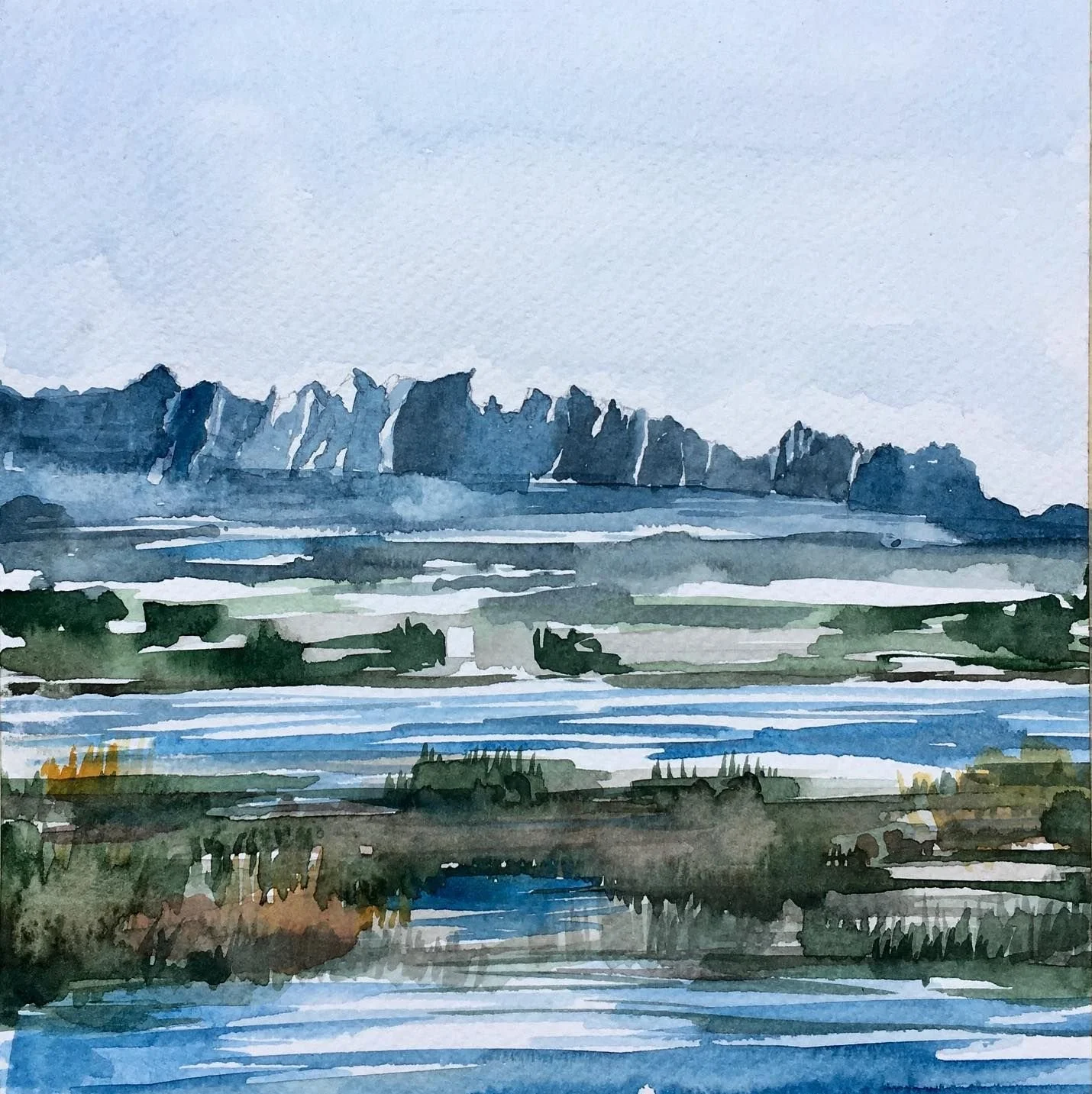 Montserrat Wetlands