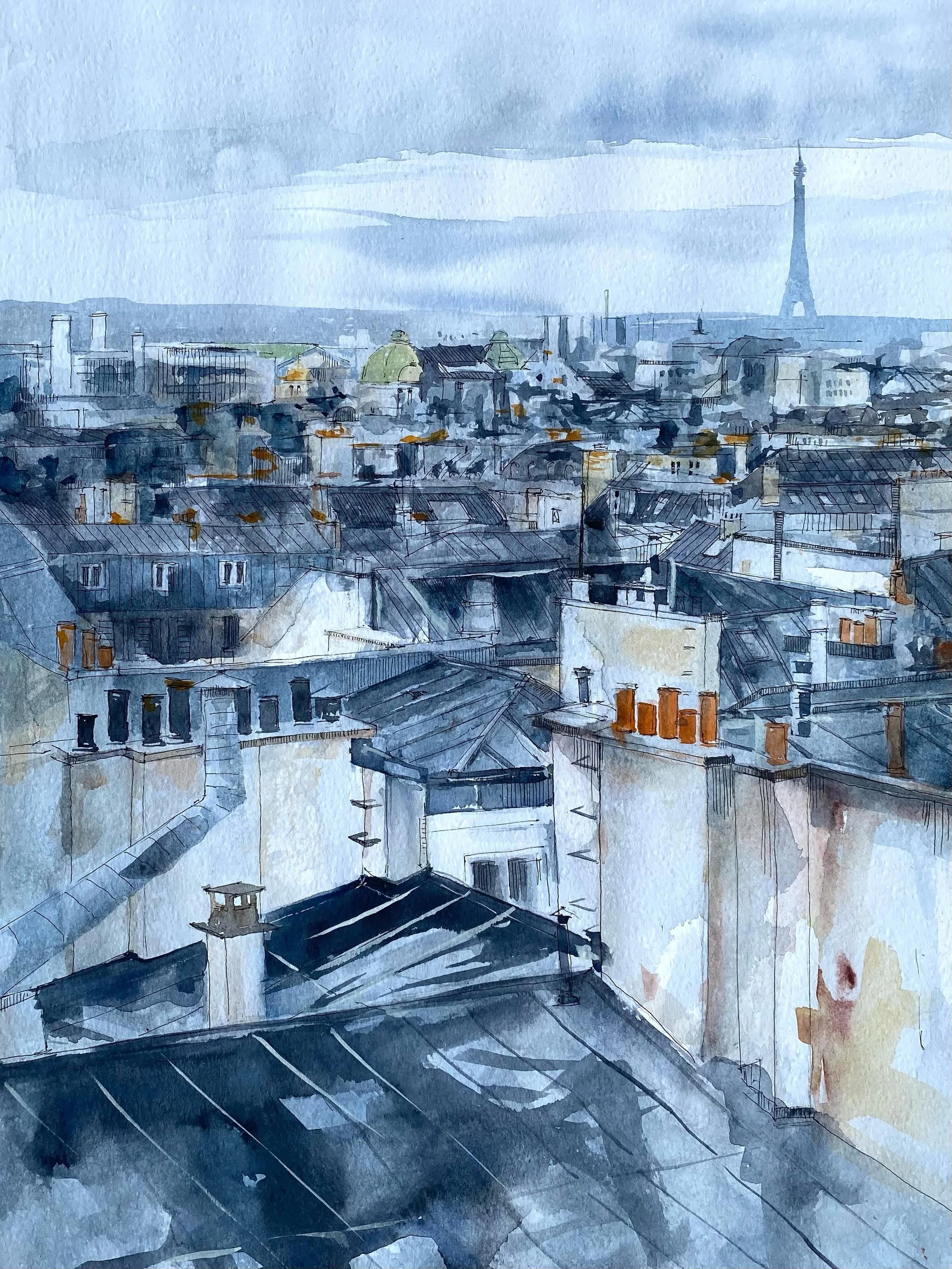 Paris rooftops