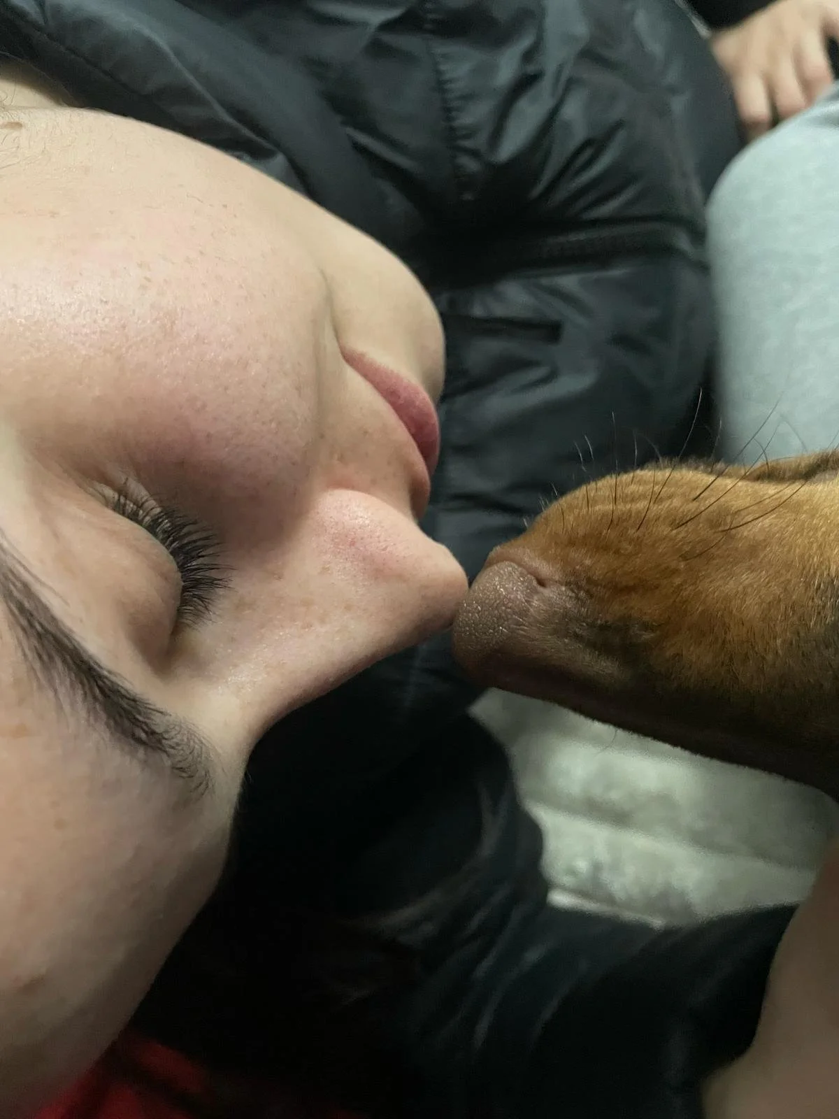 Persona recostada con ojos cerrados siendo besada en la nariz por un perro de color marrón.