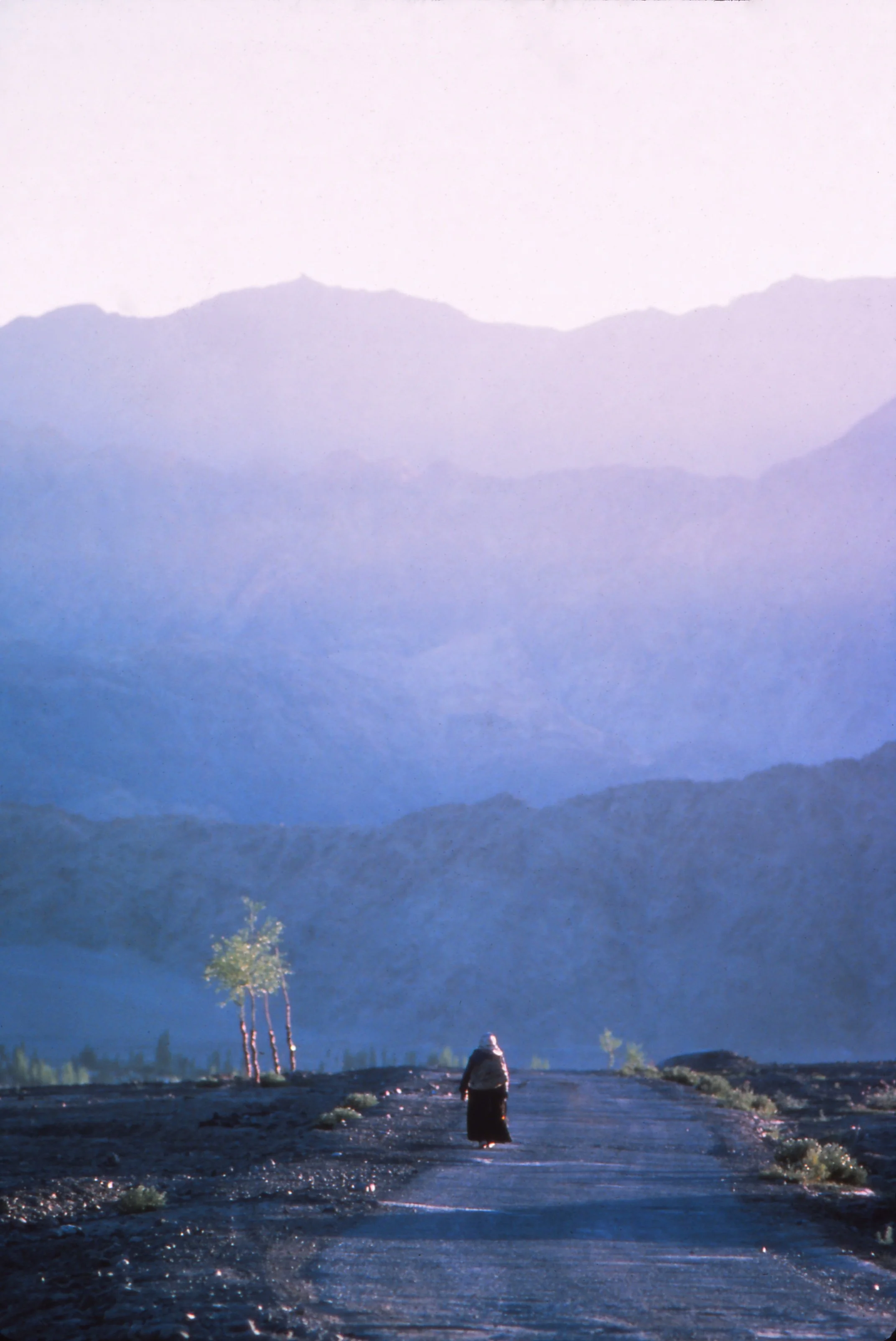 The Wayfinding Session: Finding Your True North