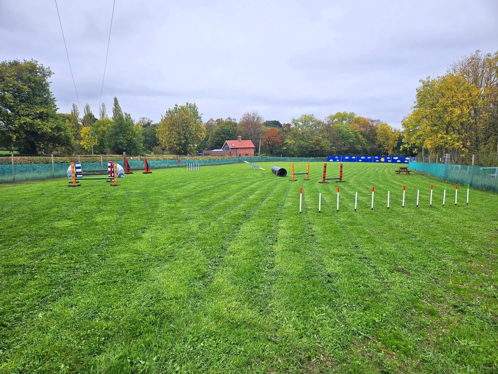An outdoor dog agility course on a grassy field with various obstacles such as jumps, tunnels, and poles, surrounded by trees and a fence.