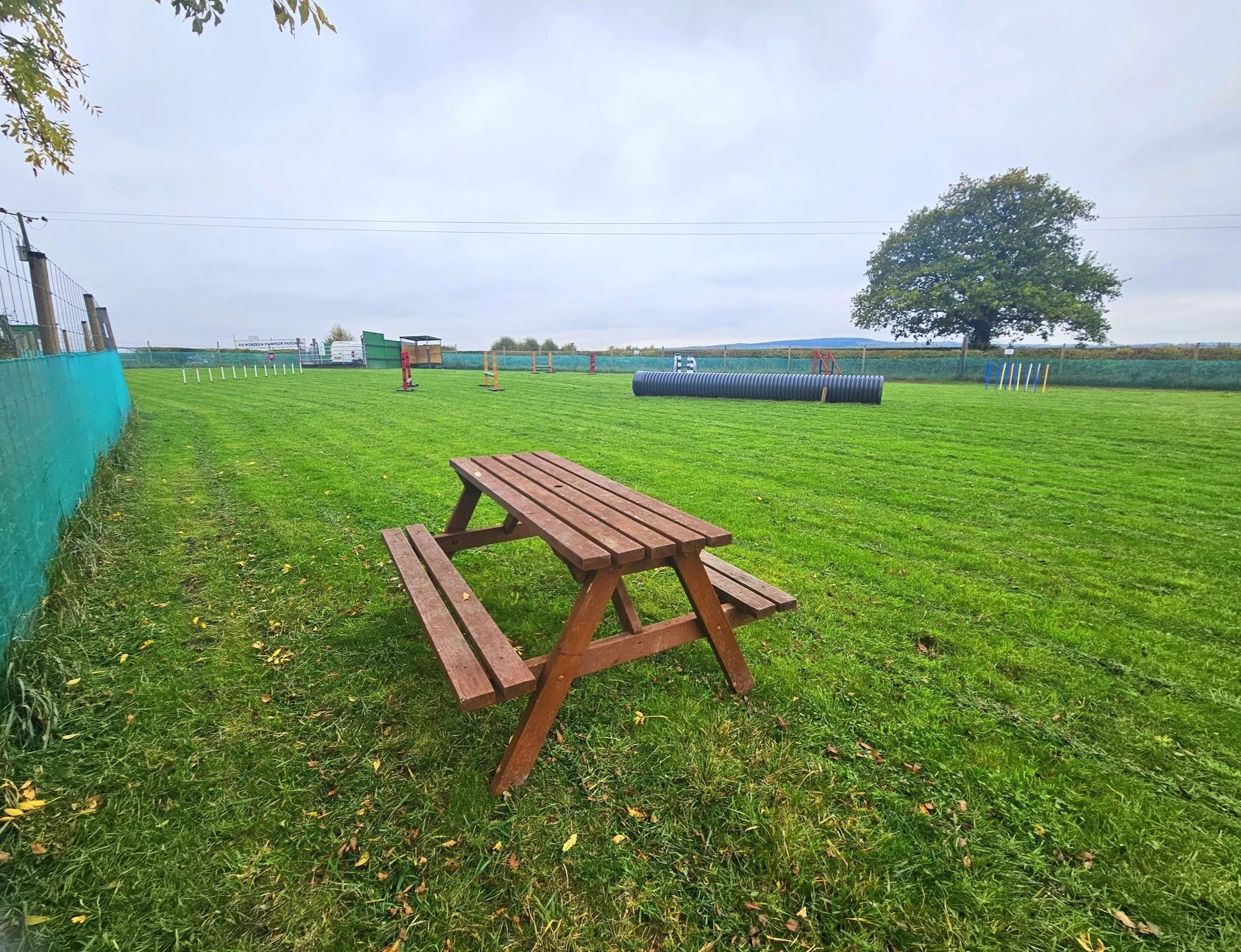 An empty grassy field with agility dog obstacles, including a tunnel and jumps, a wooden picnic table in the foreground, and a large tree in the background under a cloudy sky.