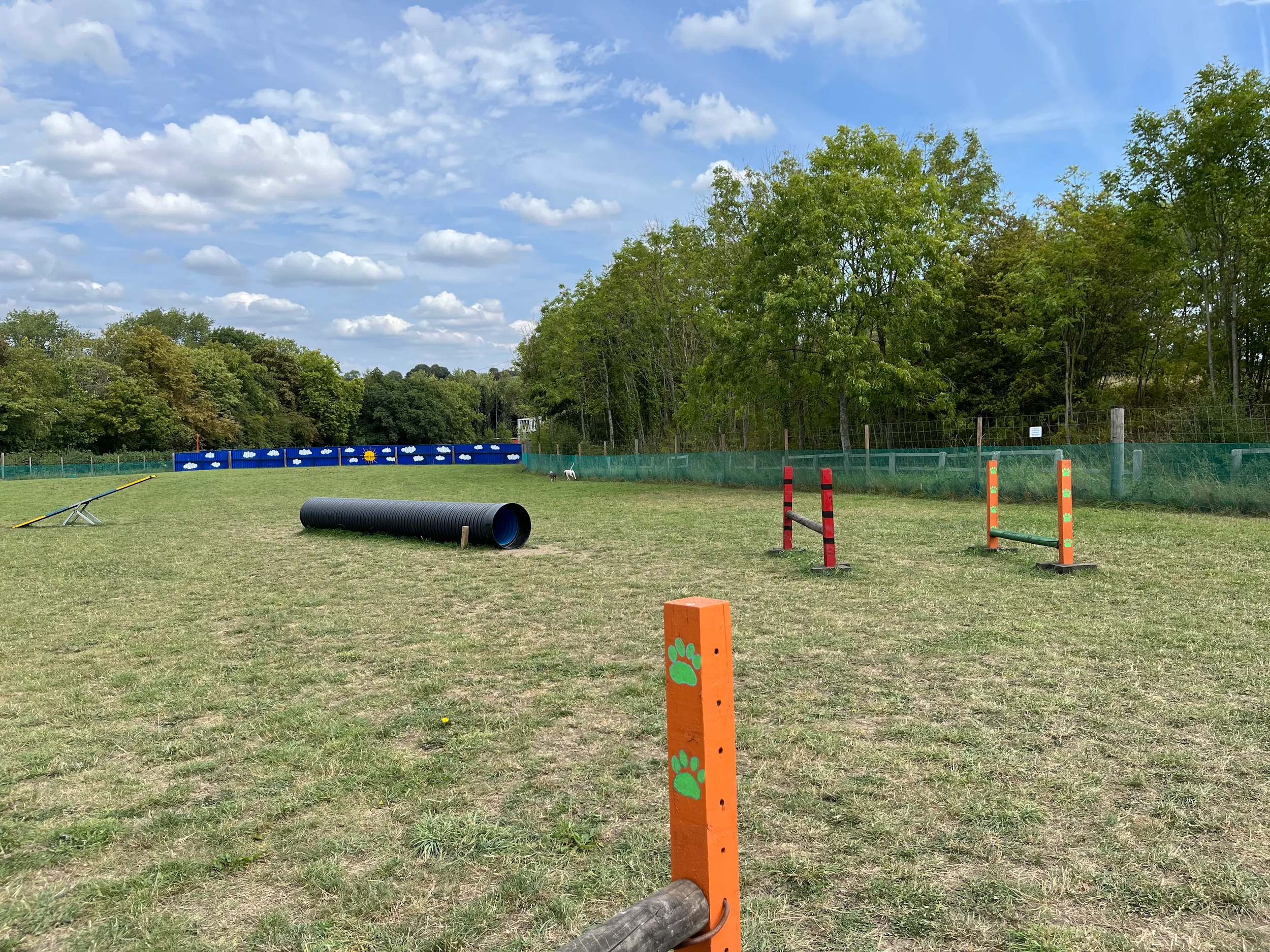 Dog agility training course with jumps, tunnel, and weather forecast decoration on a blue fence, on a grassy field with trees and a partly cloudy sky.